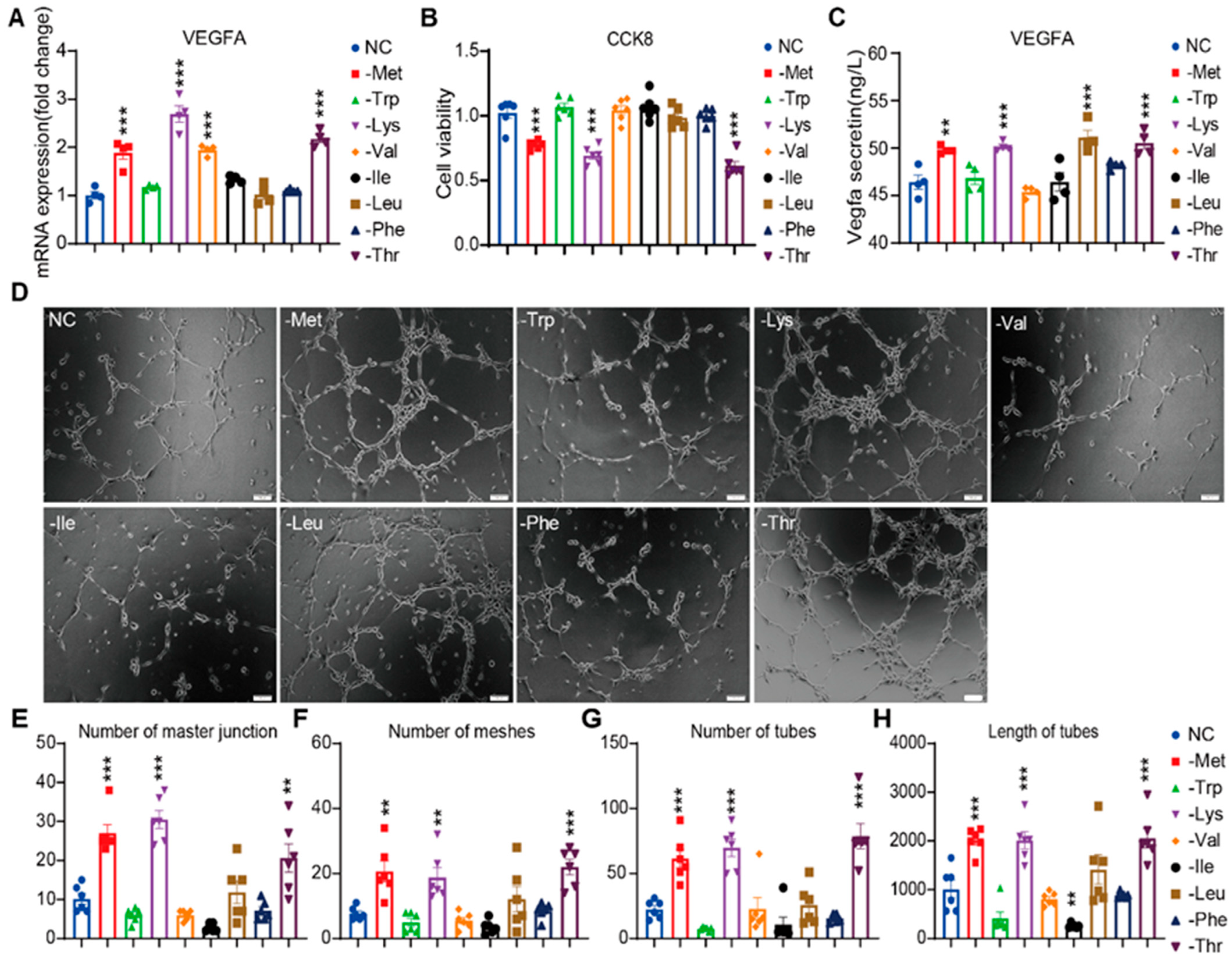 Nutrients 17 03006 g001 Nutrients 17 03006 g001