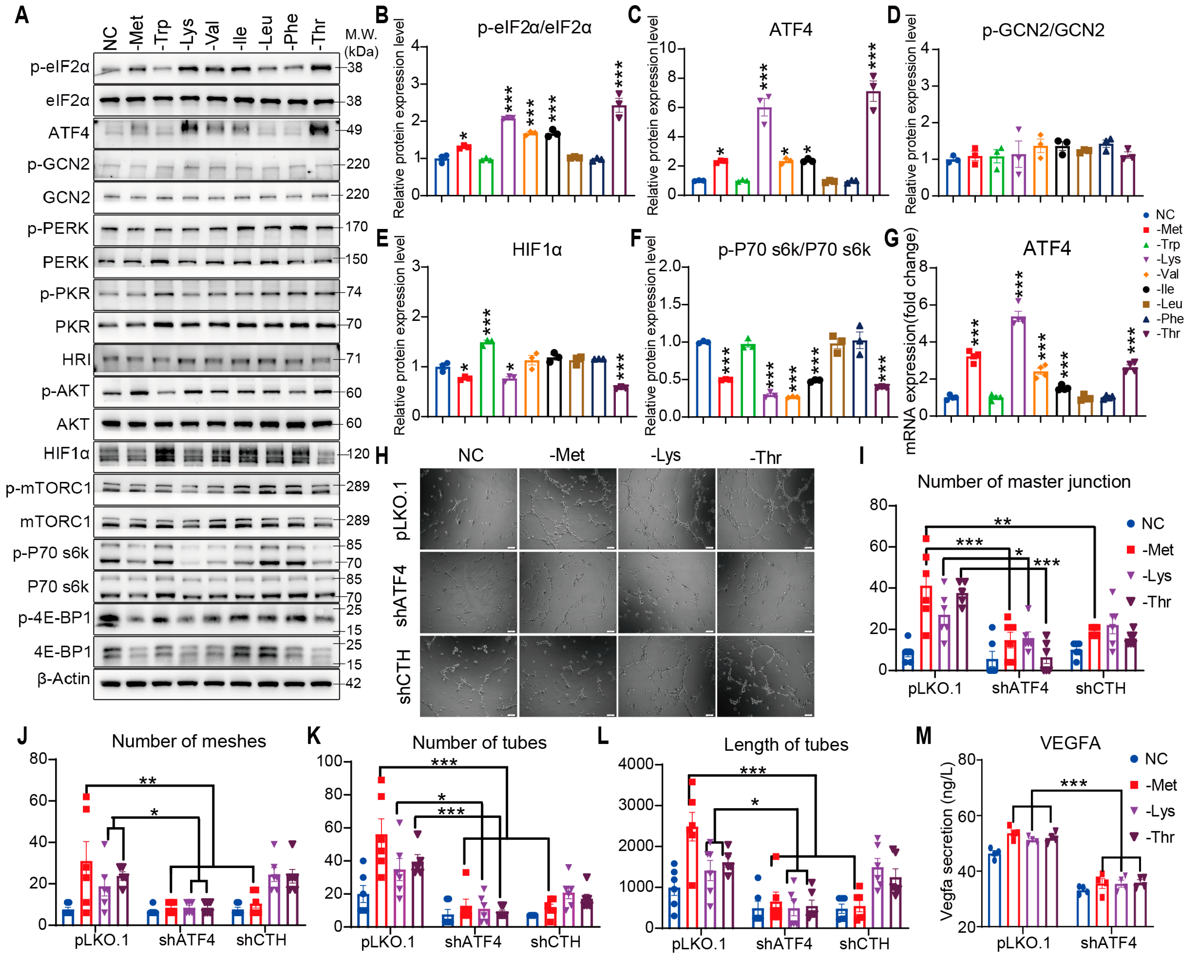 Nutrients 17 03006 g002 Nutrients 17 03006 g002
