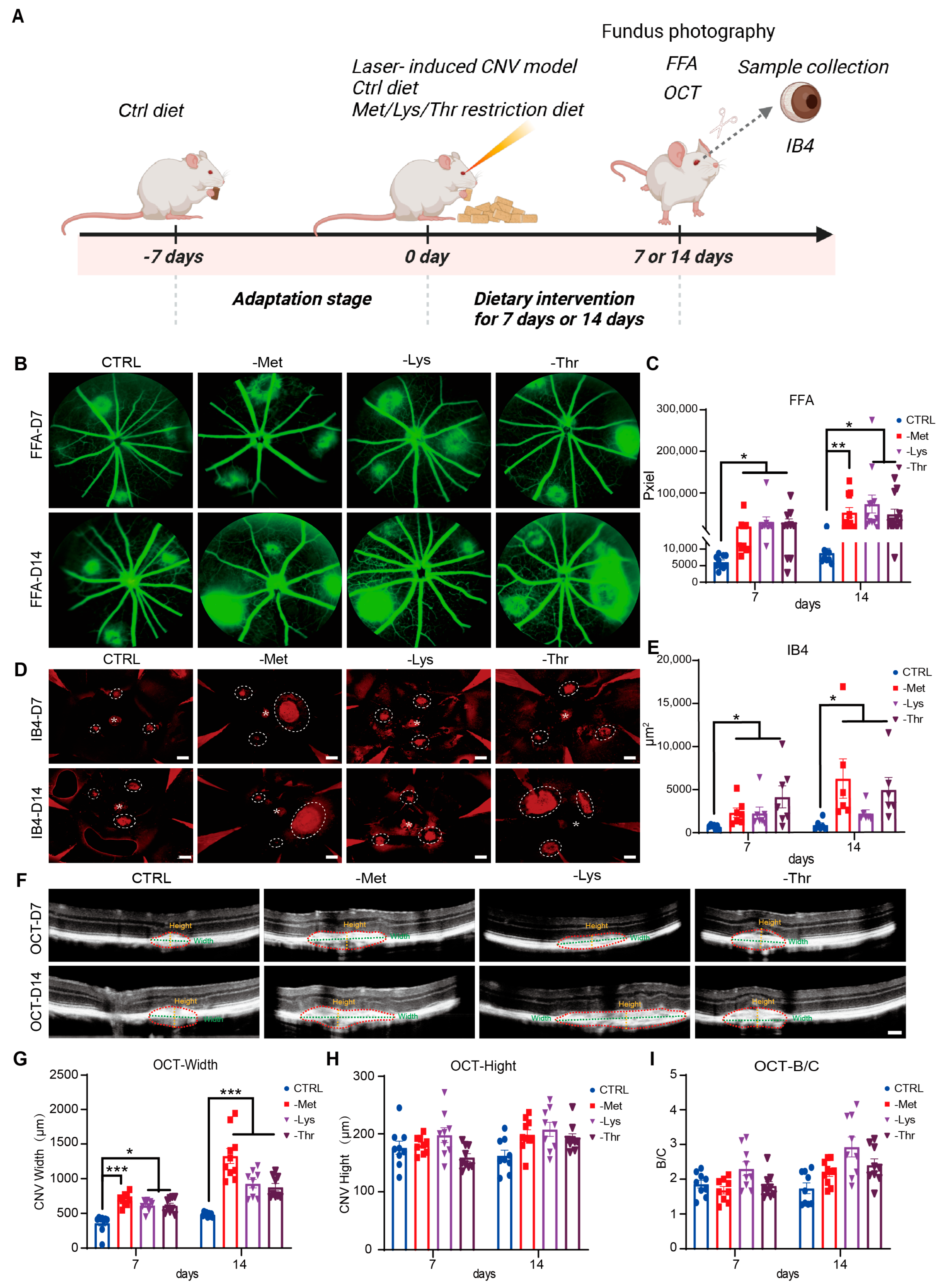 Nutrients 17 03006 g006 Nutrients 17 03006 g006