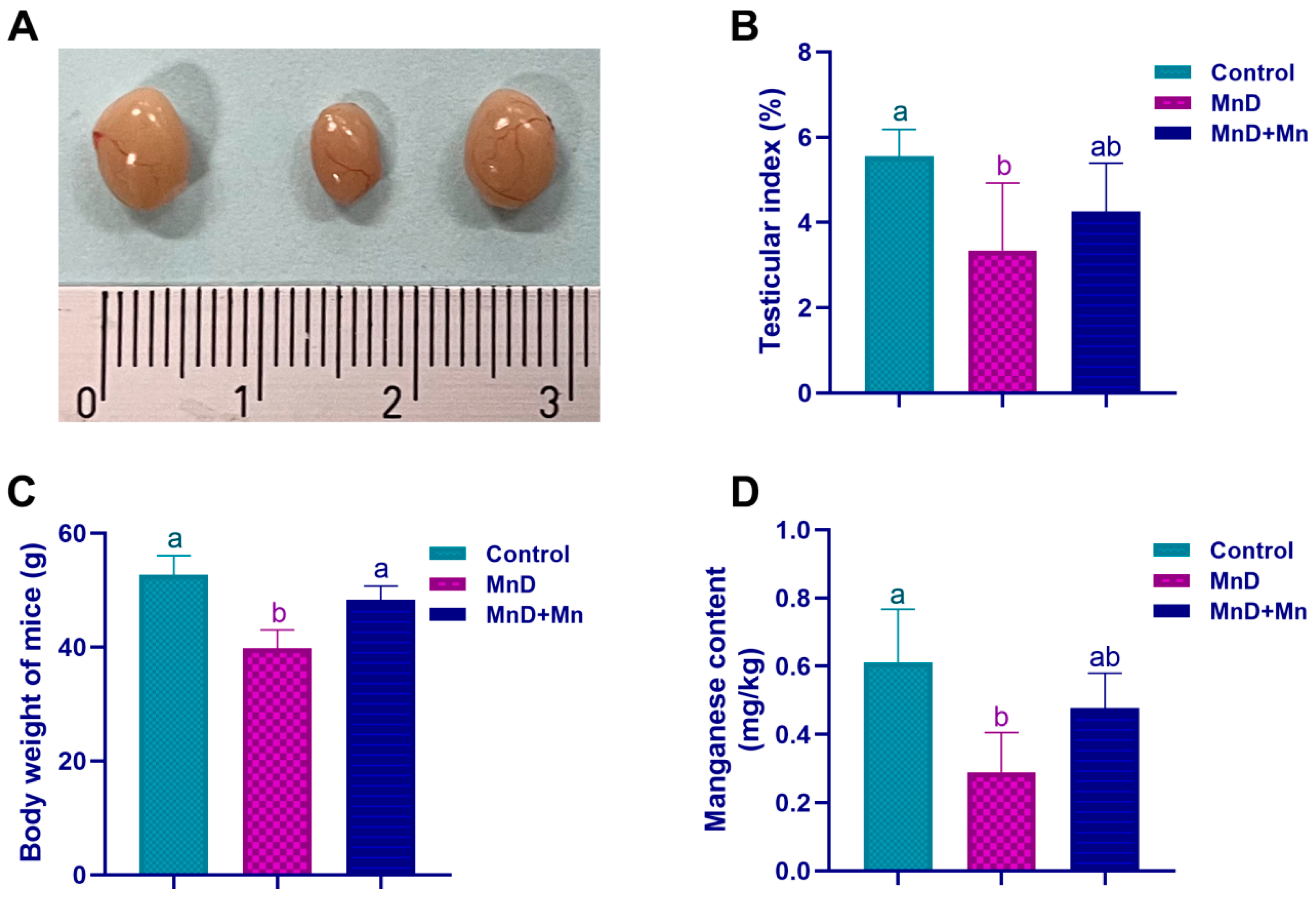 Nutrients 17 03007 g001