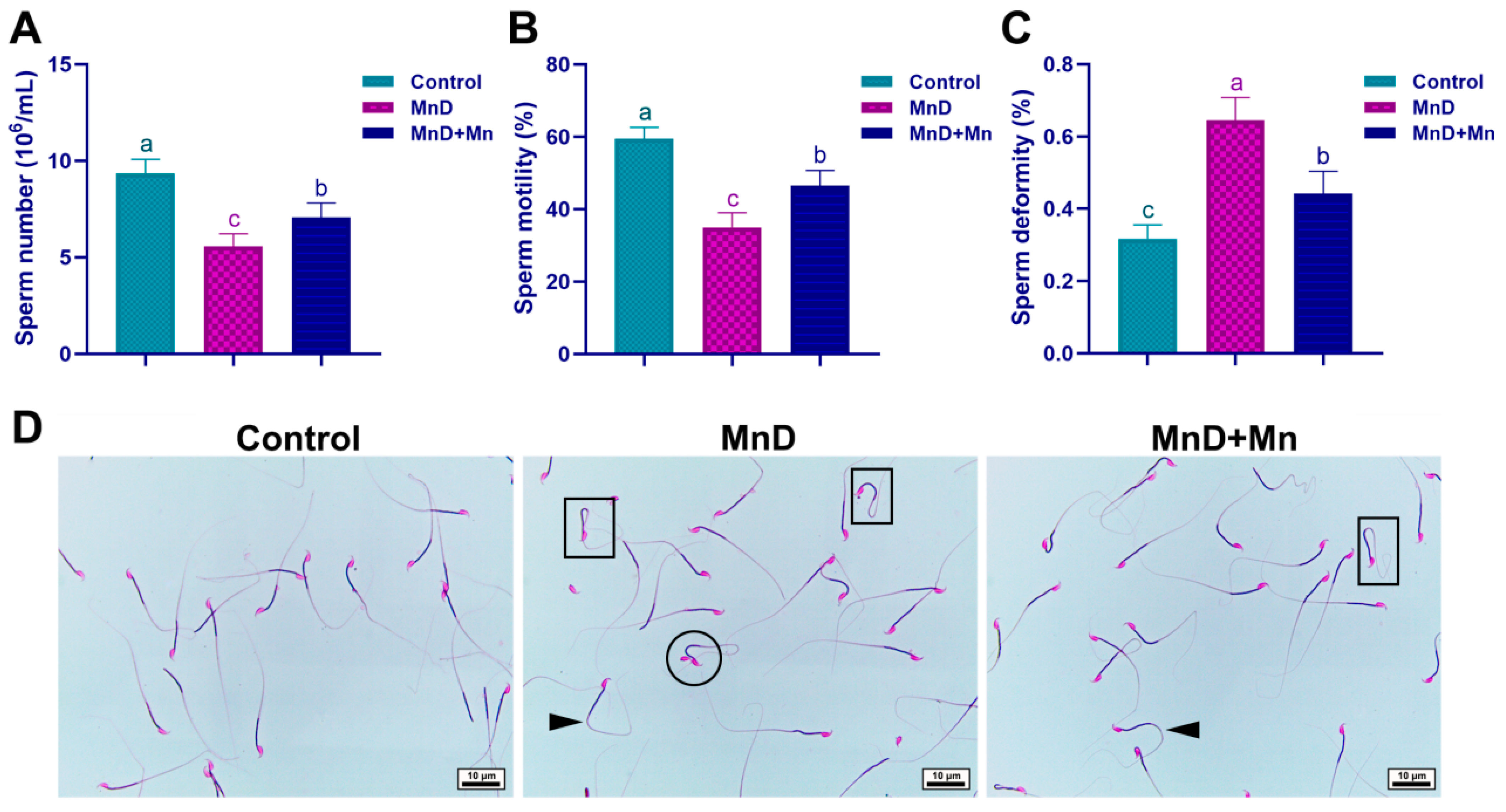 Nutrients 17 03007 g003