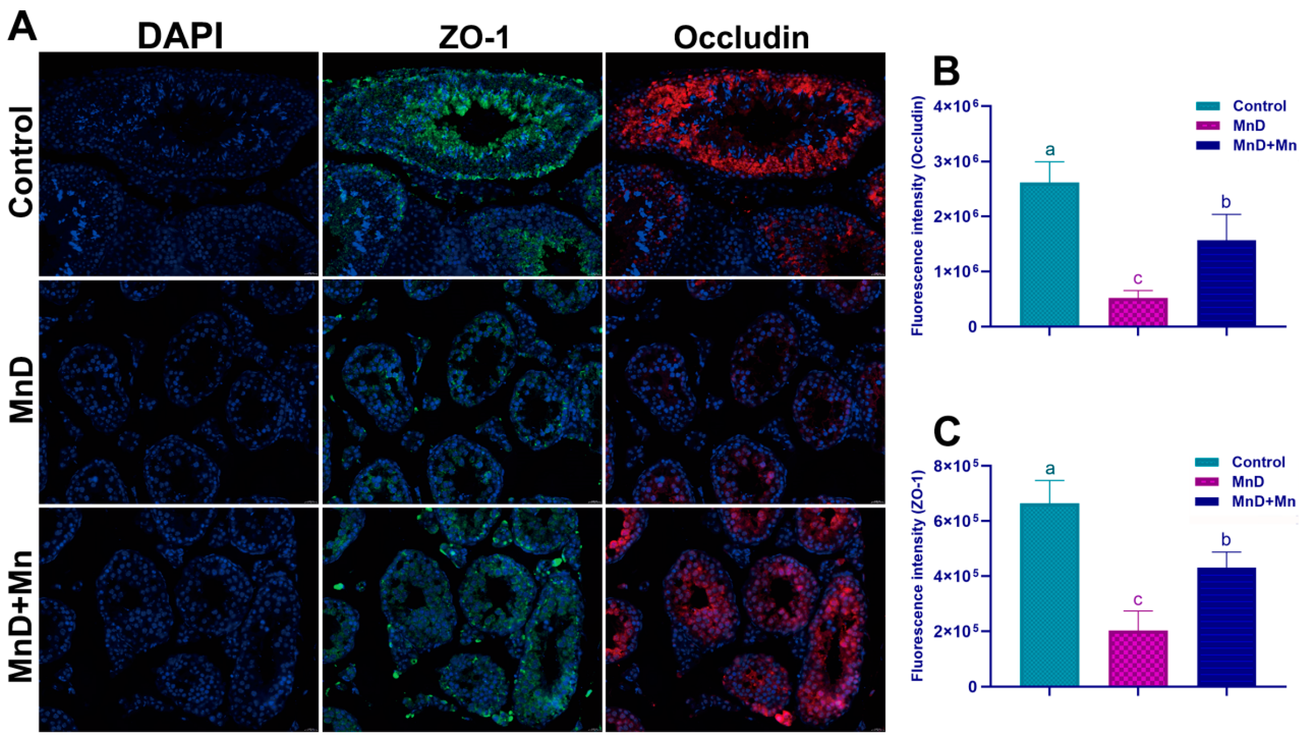 Nutrients 17 03007 g004