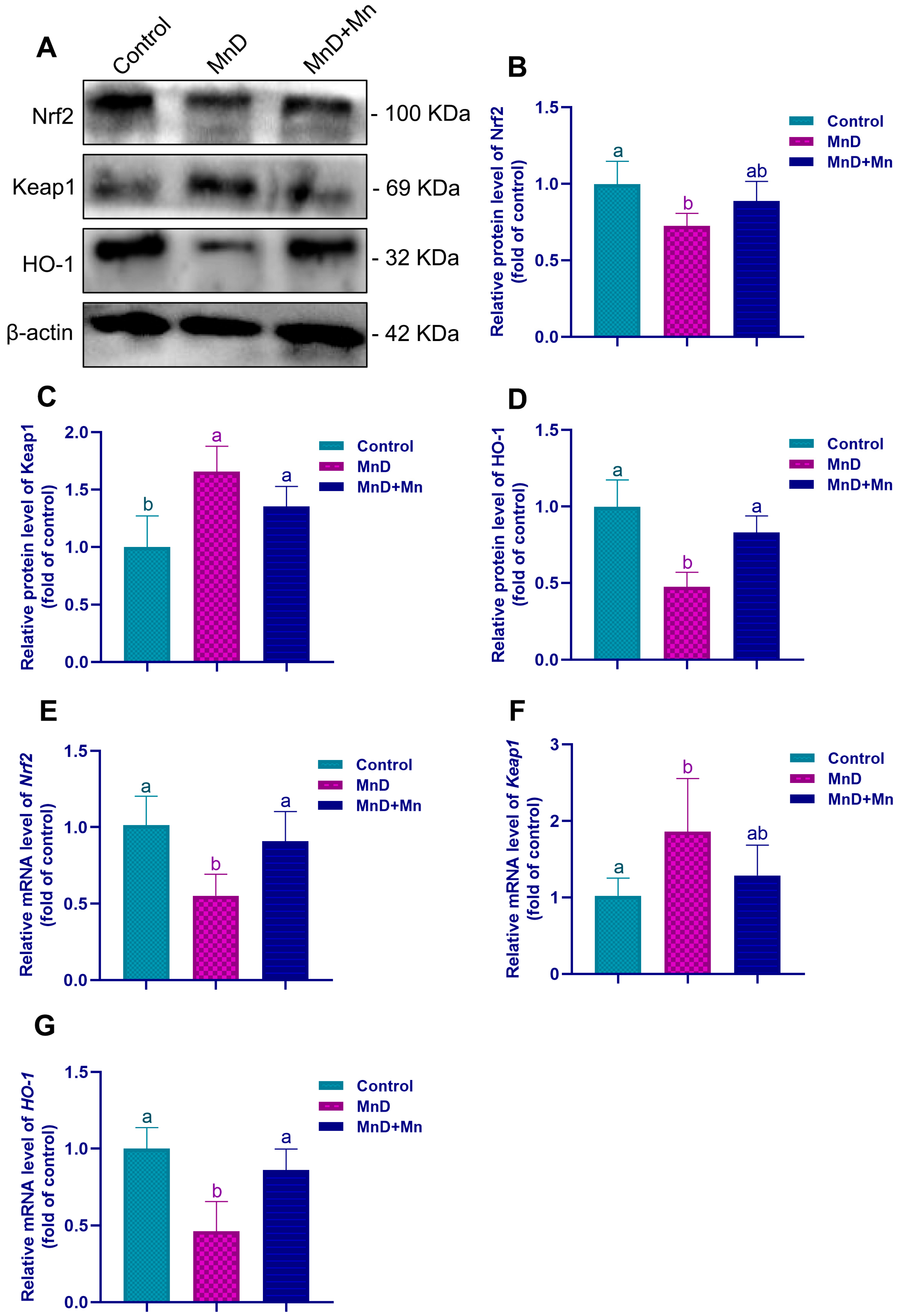 Nutrients 17 03007 g007