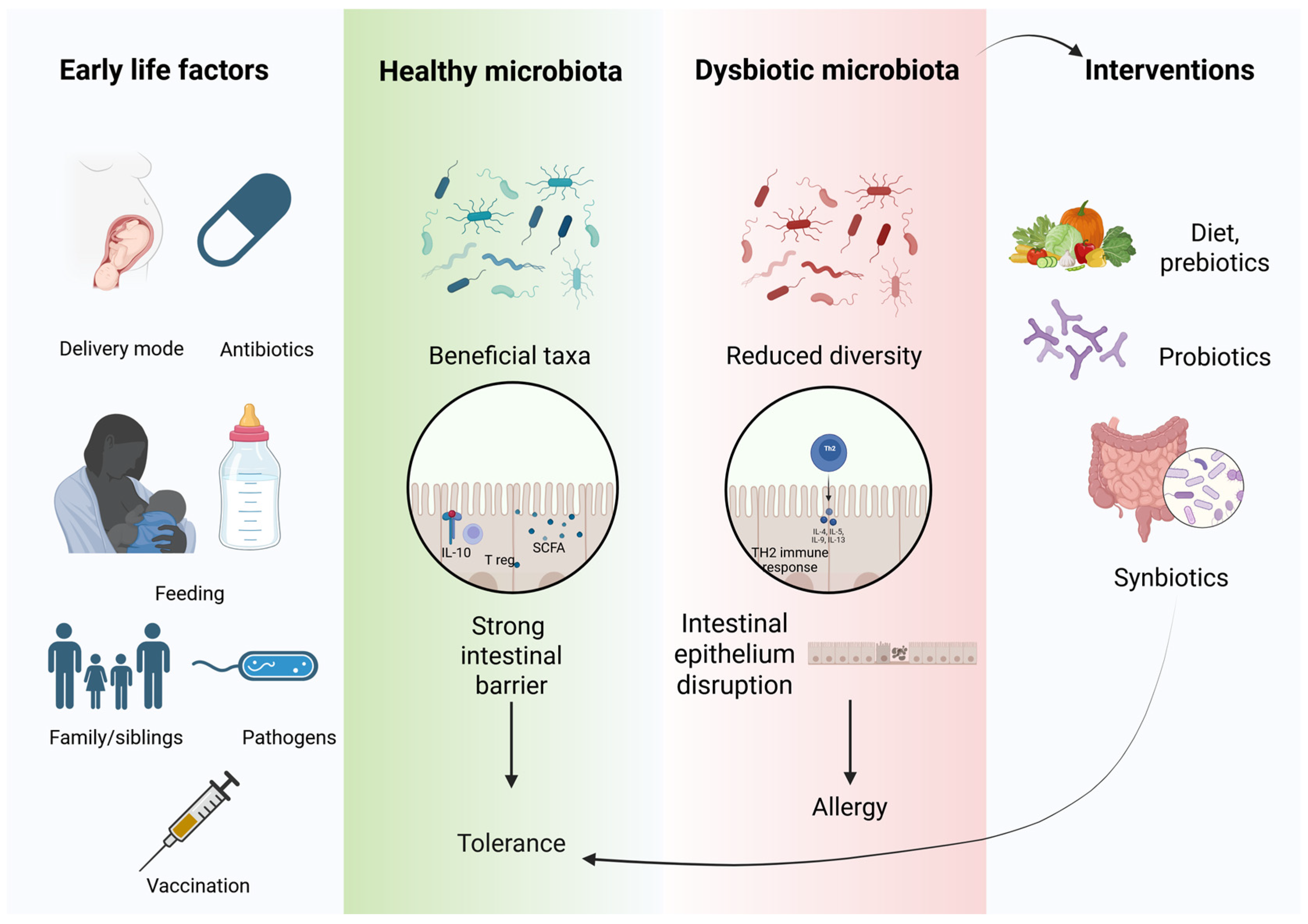 Nutrients 17 03009 g002 Nutrients 17 03009 g002