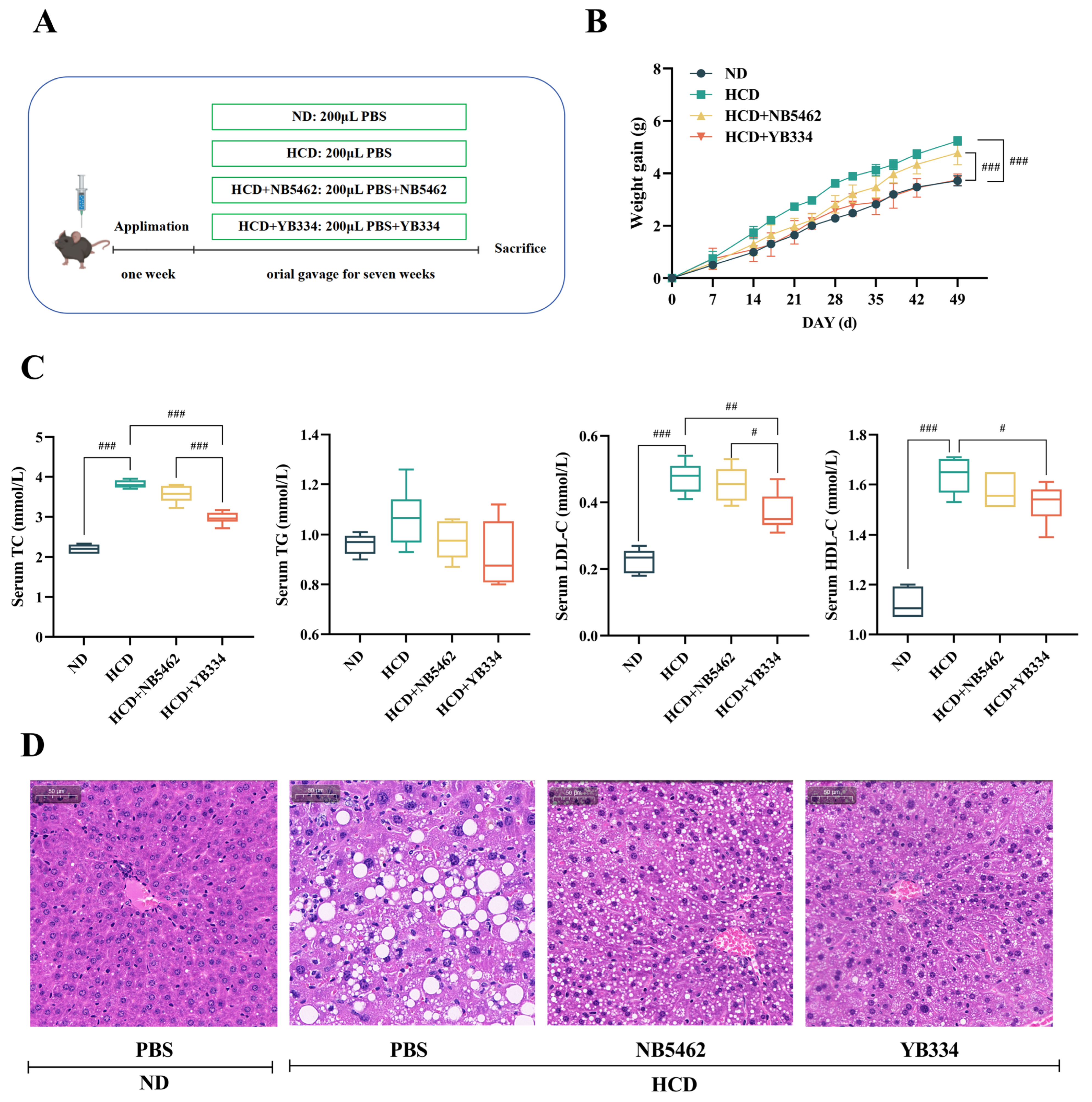Nutrients 17 03019 g001 Nutrients 17 03019 g001