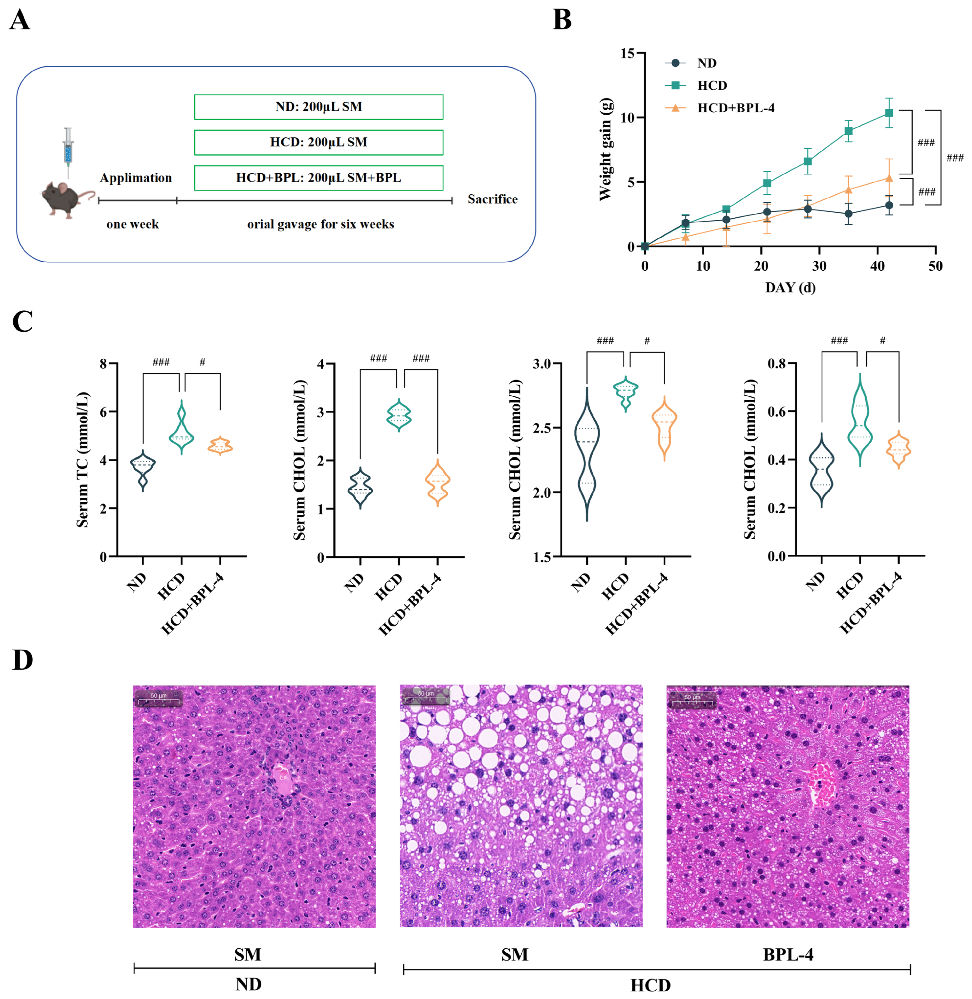 Nutrients 17 03019 g005 Nutrients 17 03019 g005