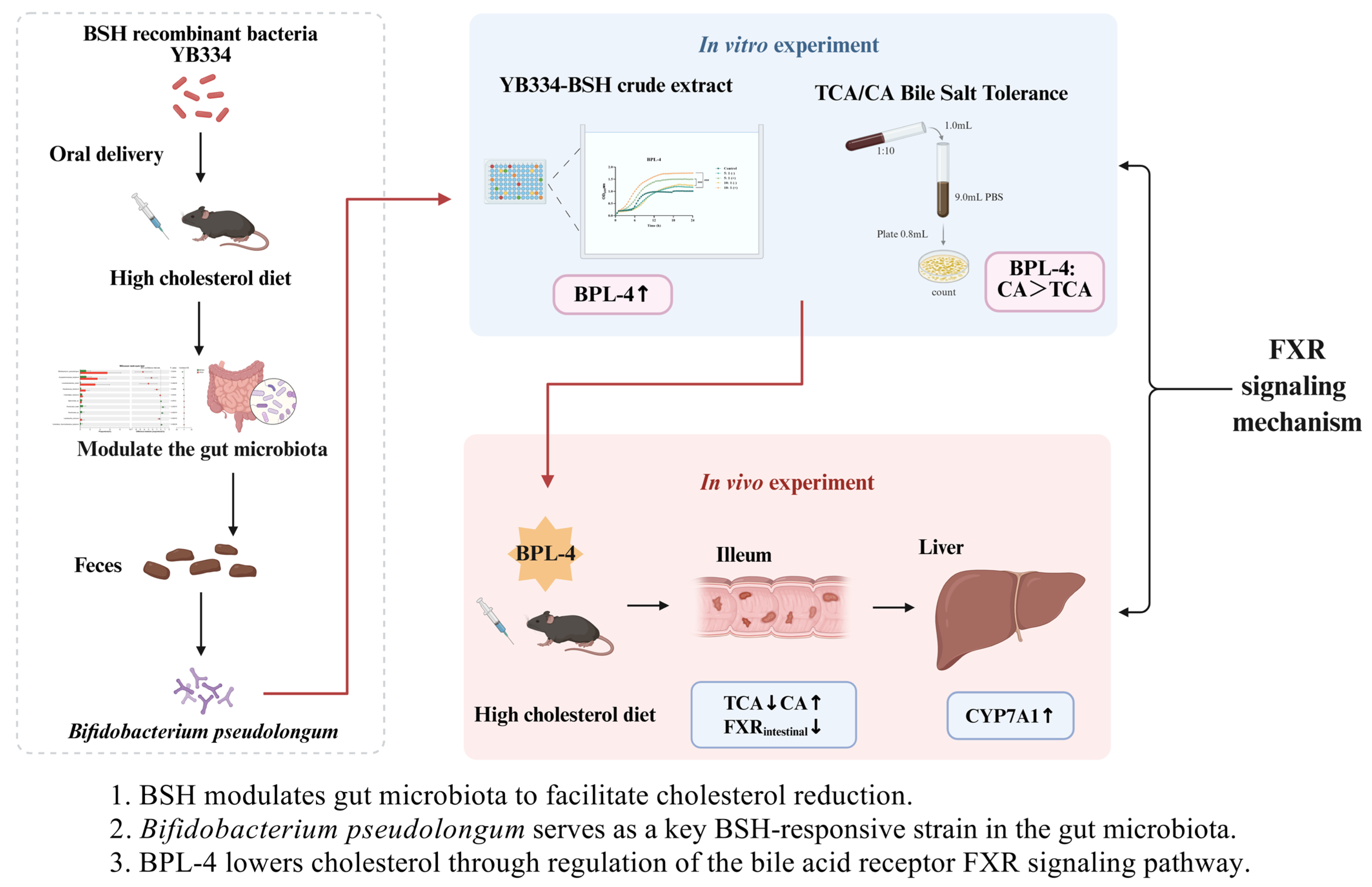 Nutrients 17 03019 g007 Nutrients 17 03019 g007