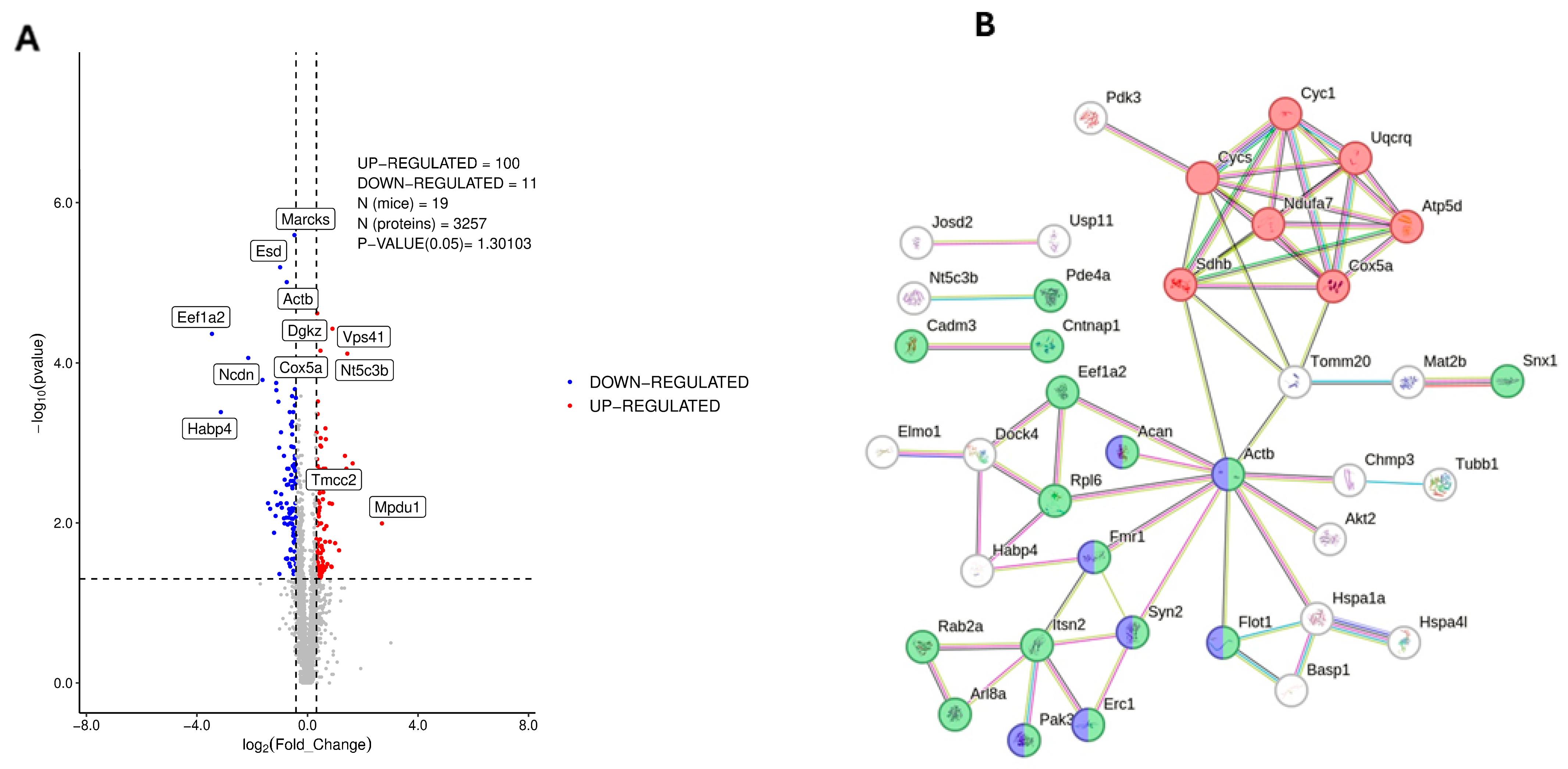 Nutrients 17 03024 g001 Nutrients 17 03024 g001