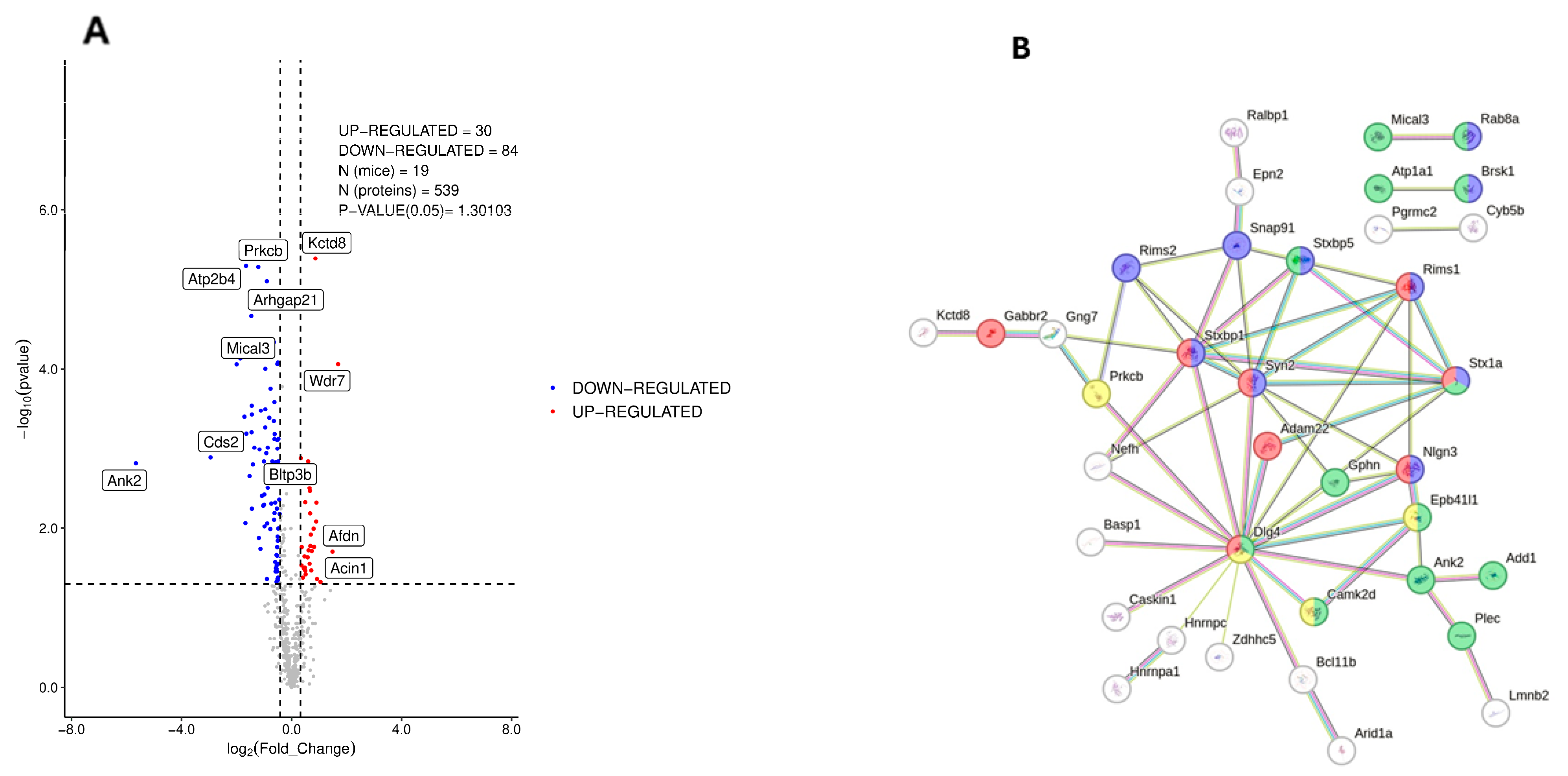 Nutrients 17 03024 g002 Nutrients 17 03024 g002
