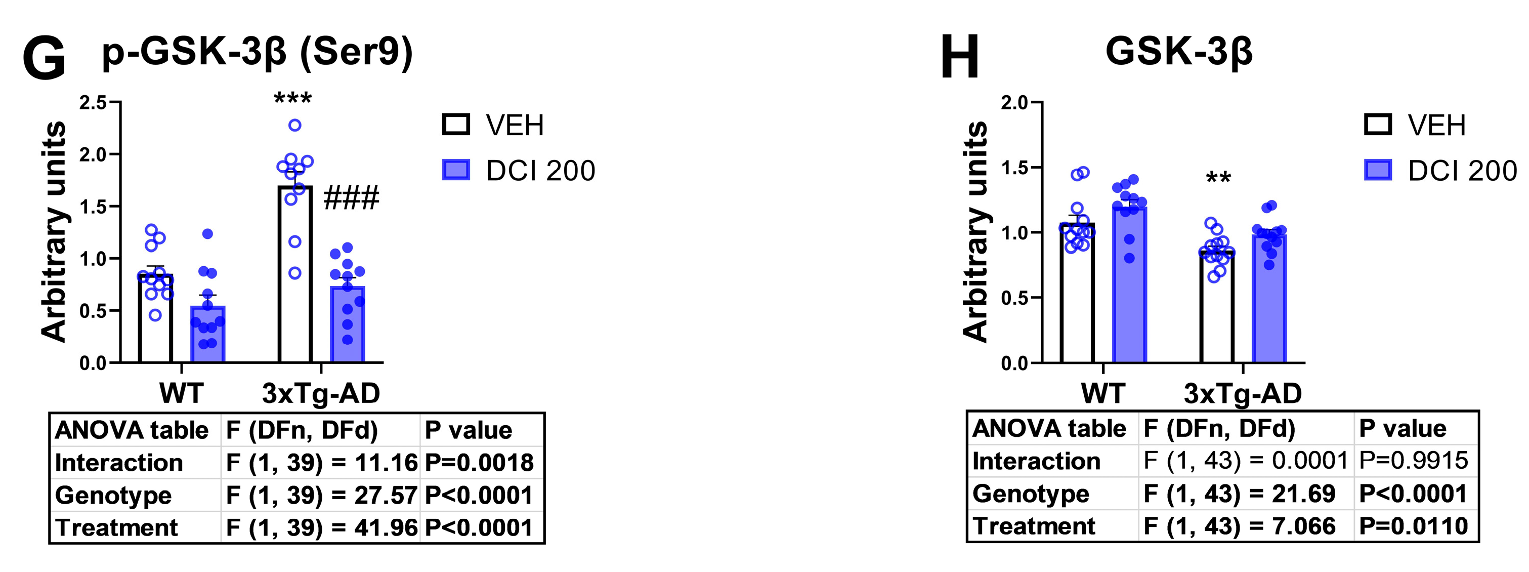 Nutrients 17 03024 g005b Nutrients 17 03024 g005b