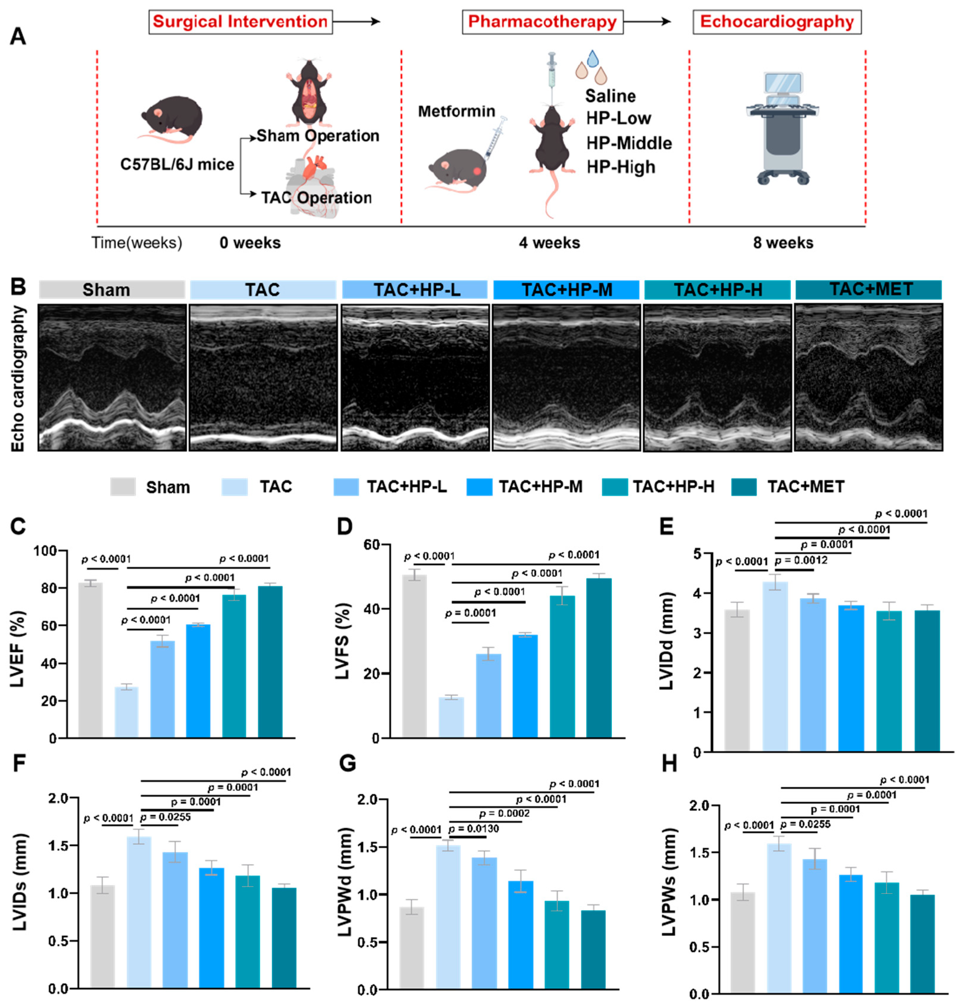 Nutrients 17 03025 g001 Nutrients 17 03025 g001