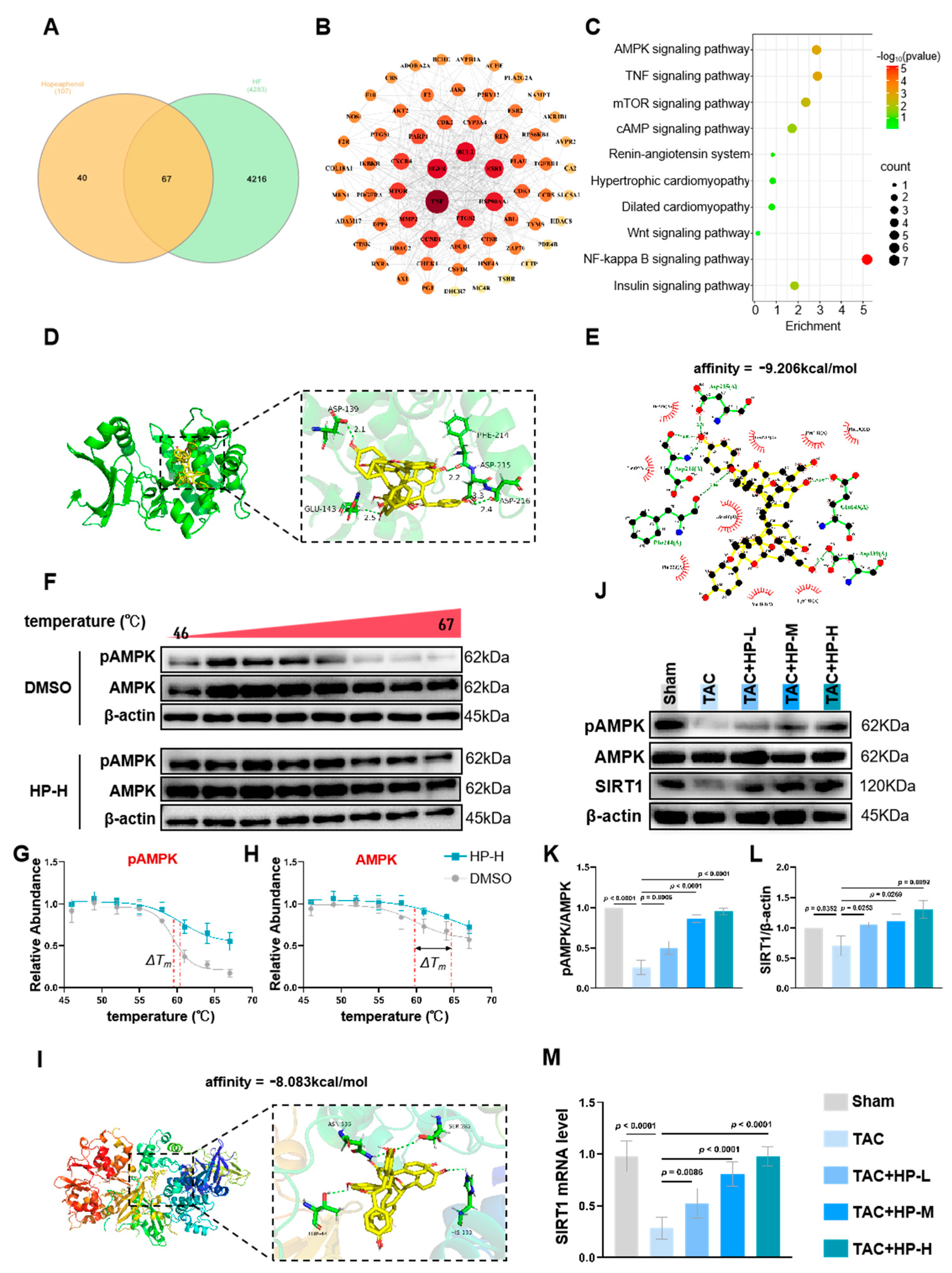 Nutrients 17 03025 g004 Nutrients 17 03025 g004