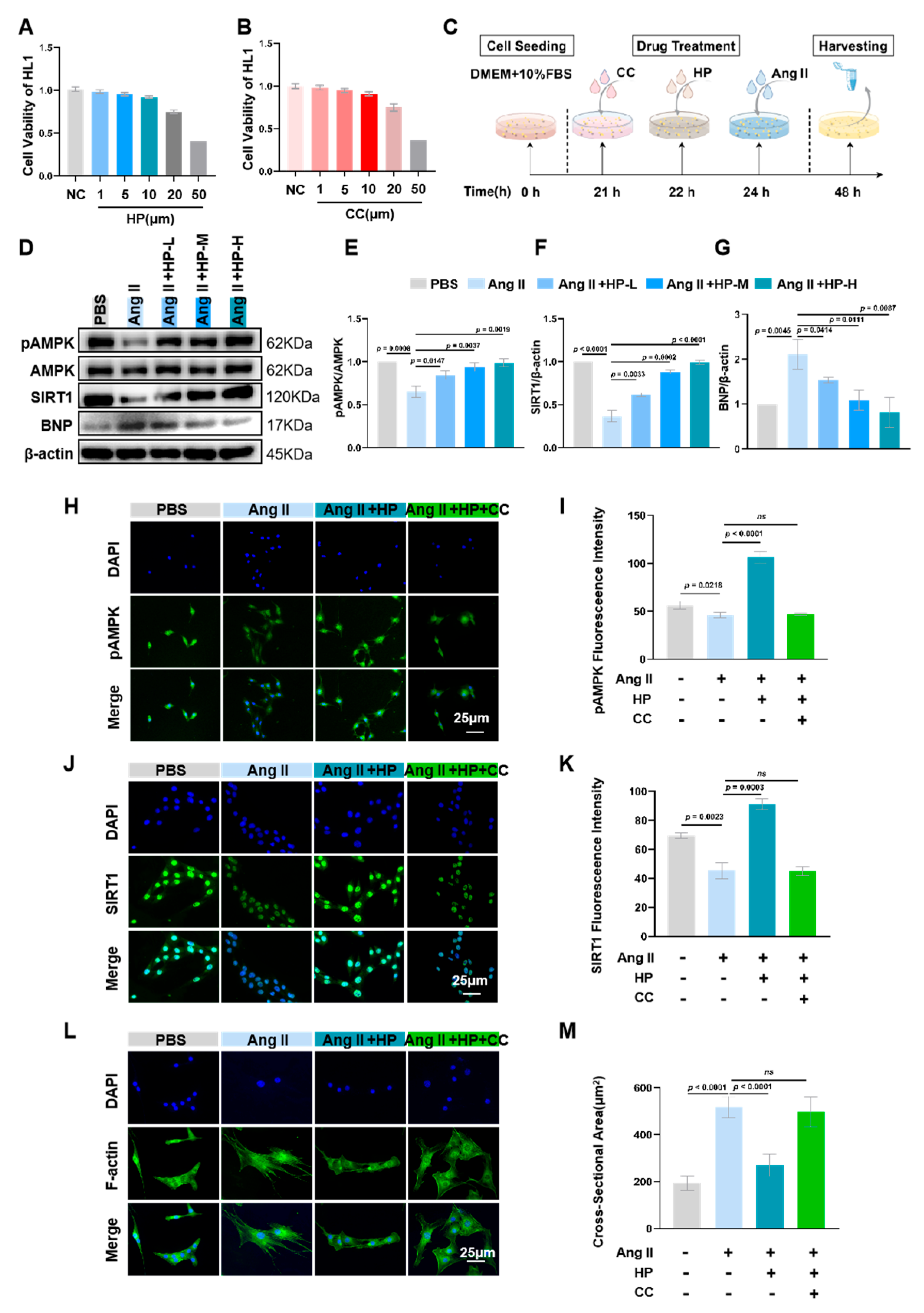 Nutrients 17 03025 g005 Nutrients 17 03025 g005
