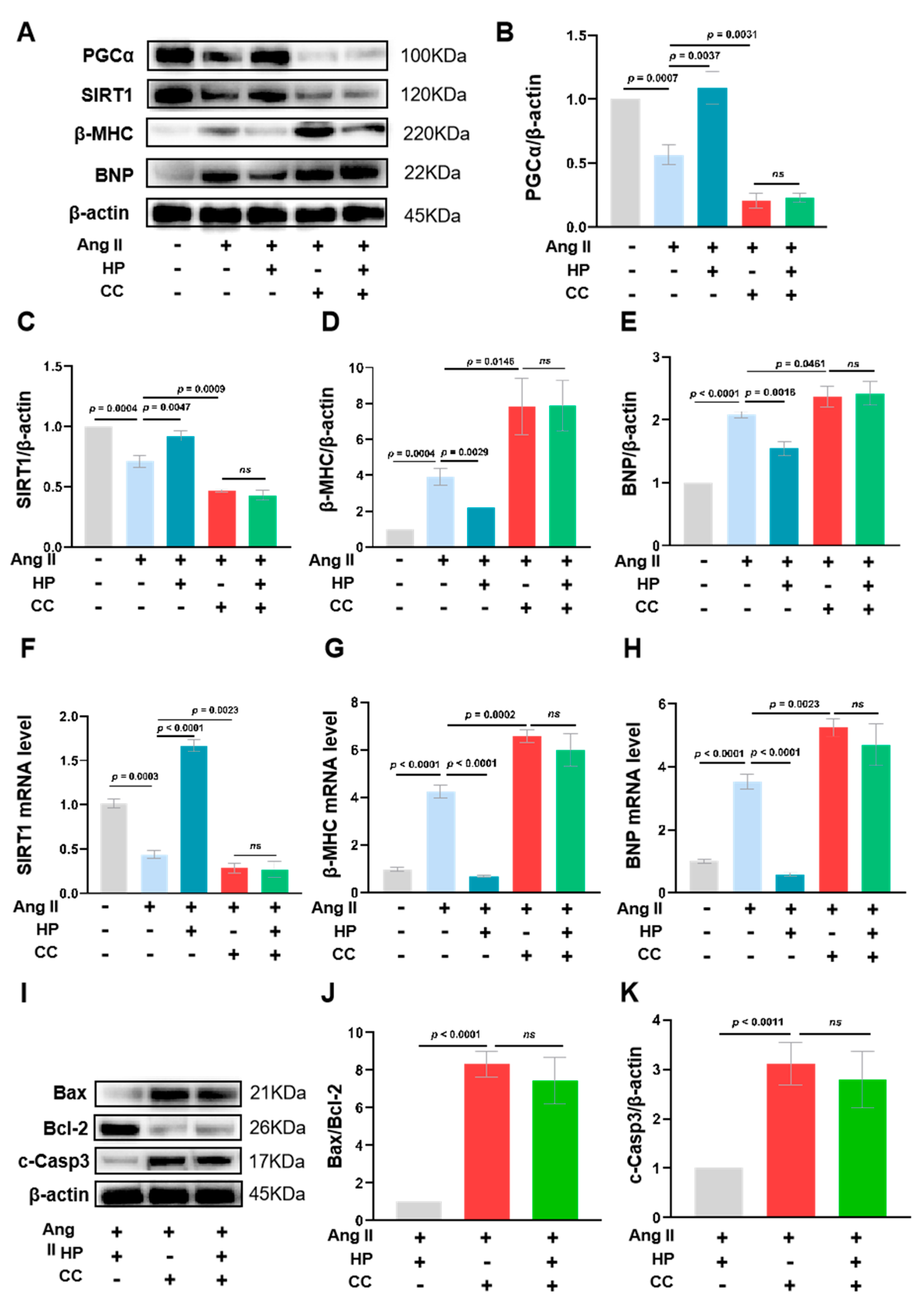 Nutrients 17 03025 g007 Nutrients 17 03025 g007