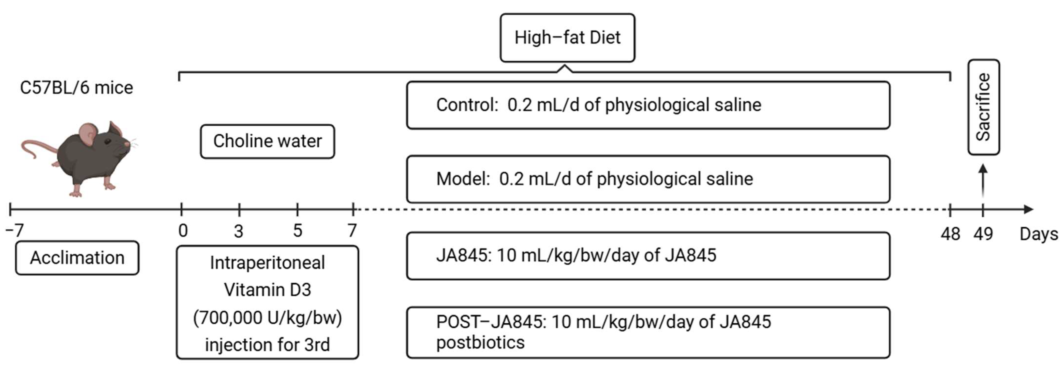 Nutrients 17 03027 g001 Nutrients 17 03027 g001