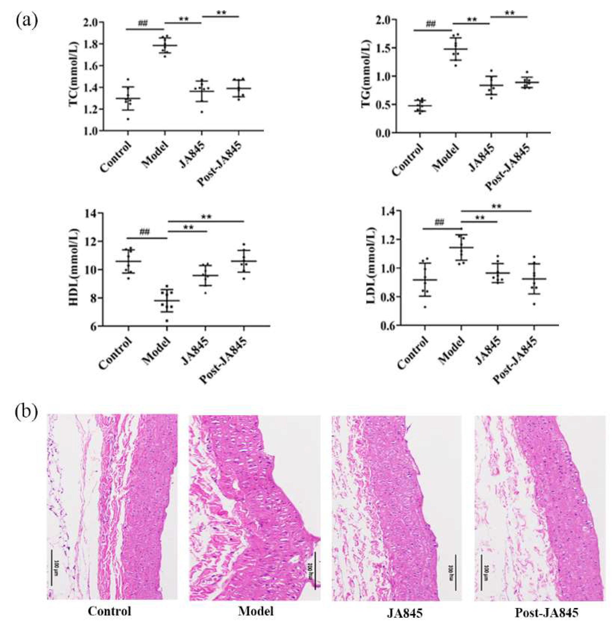 Nutrients 17 03027 g002 Nutrients 17 03027 g002