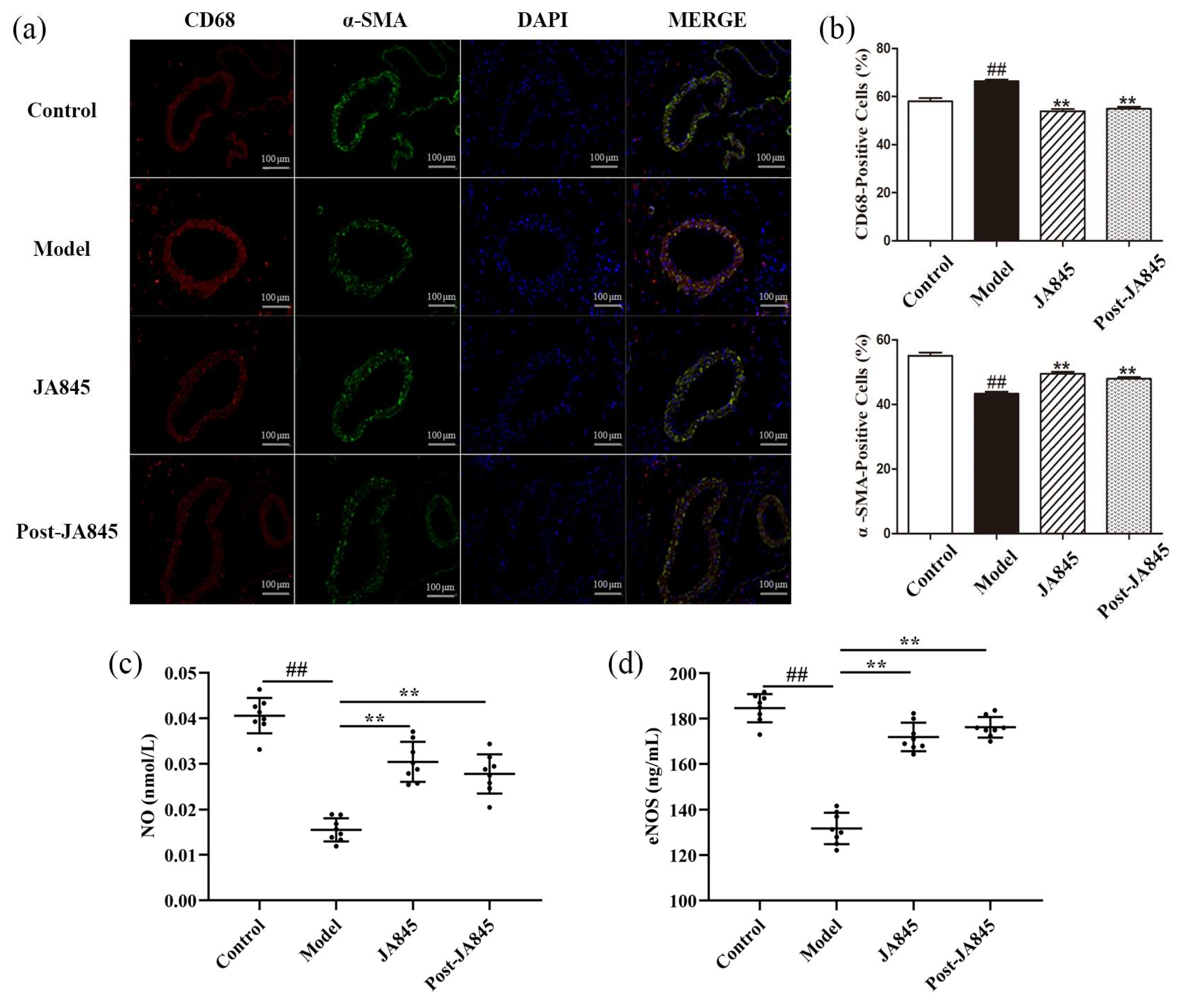 Nutrients 17 03027 g003 Nutrients 17 03027 g003
