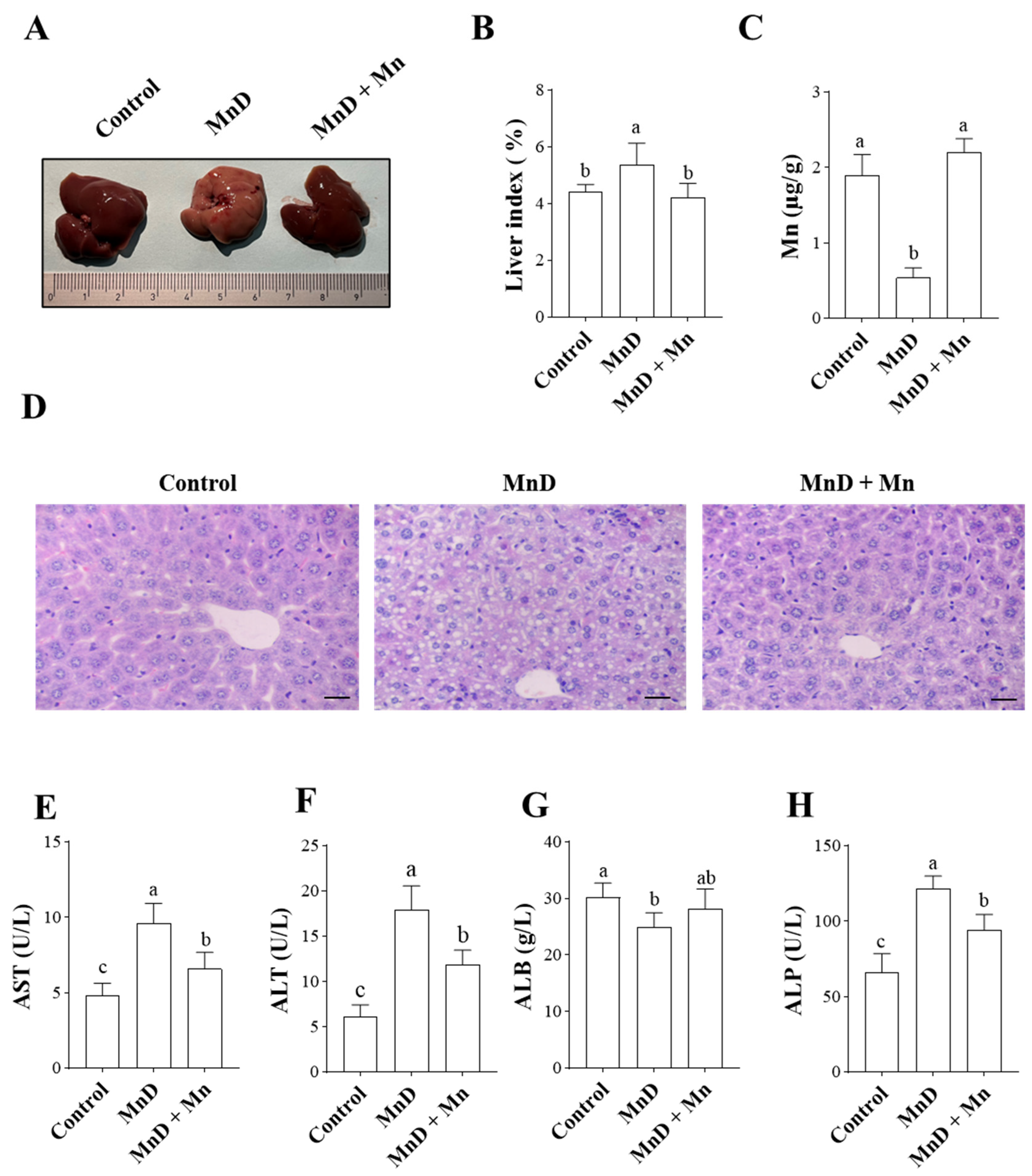 Nutrients 17 03030 g001