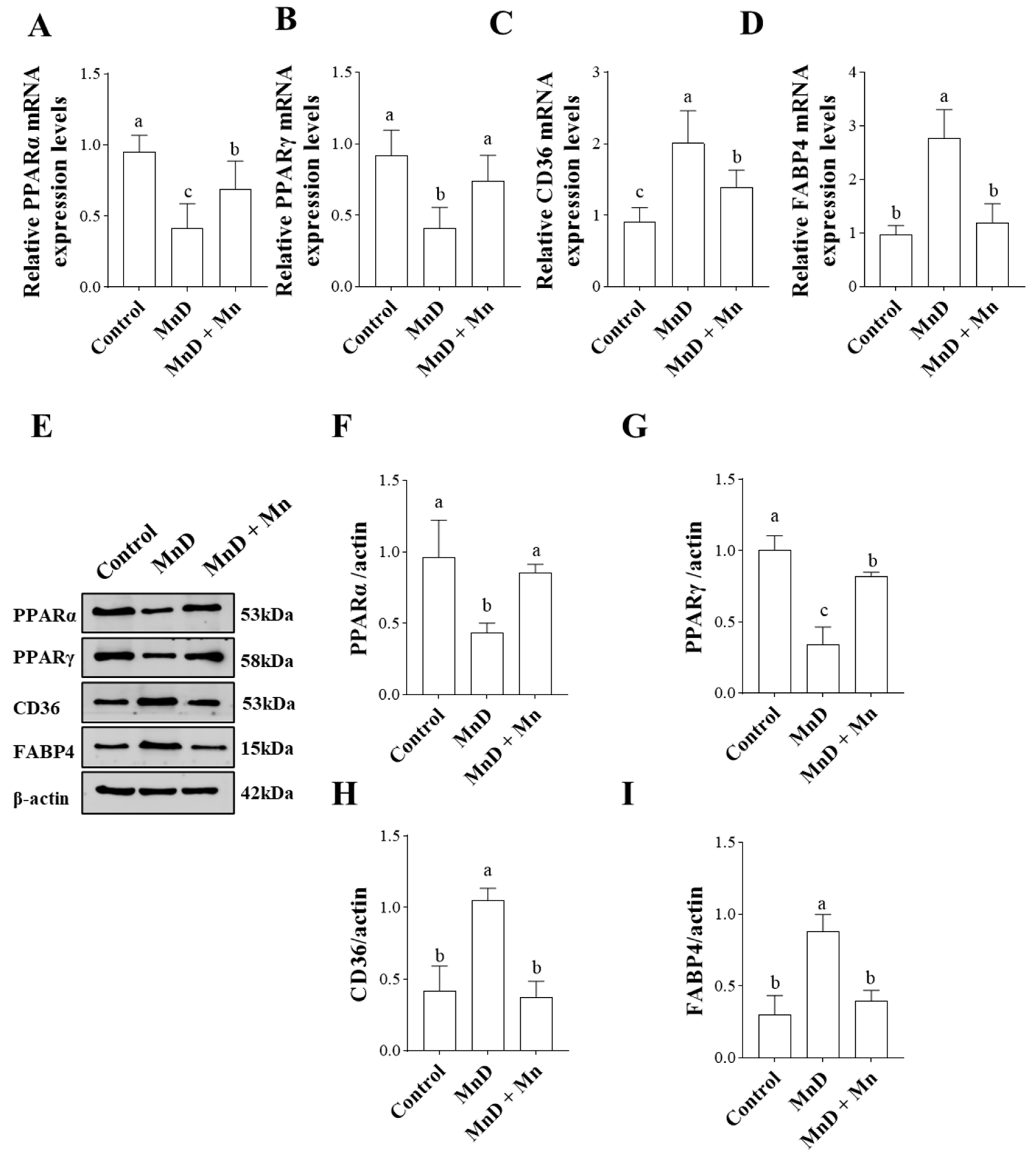 Nutrients 17 03030 g006