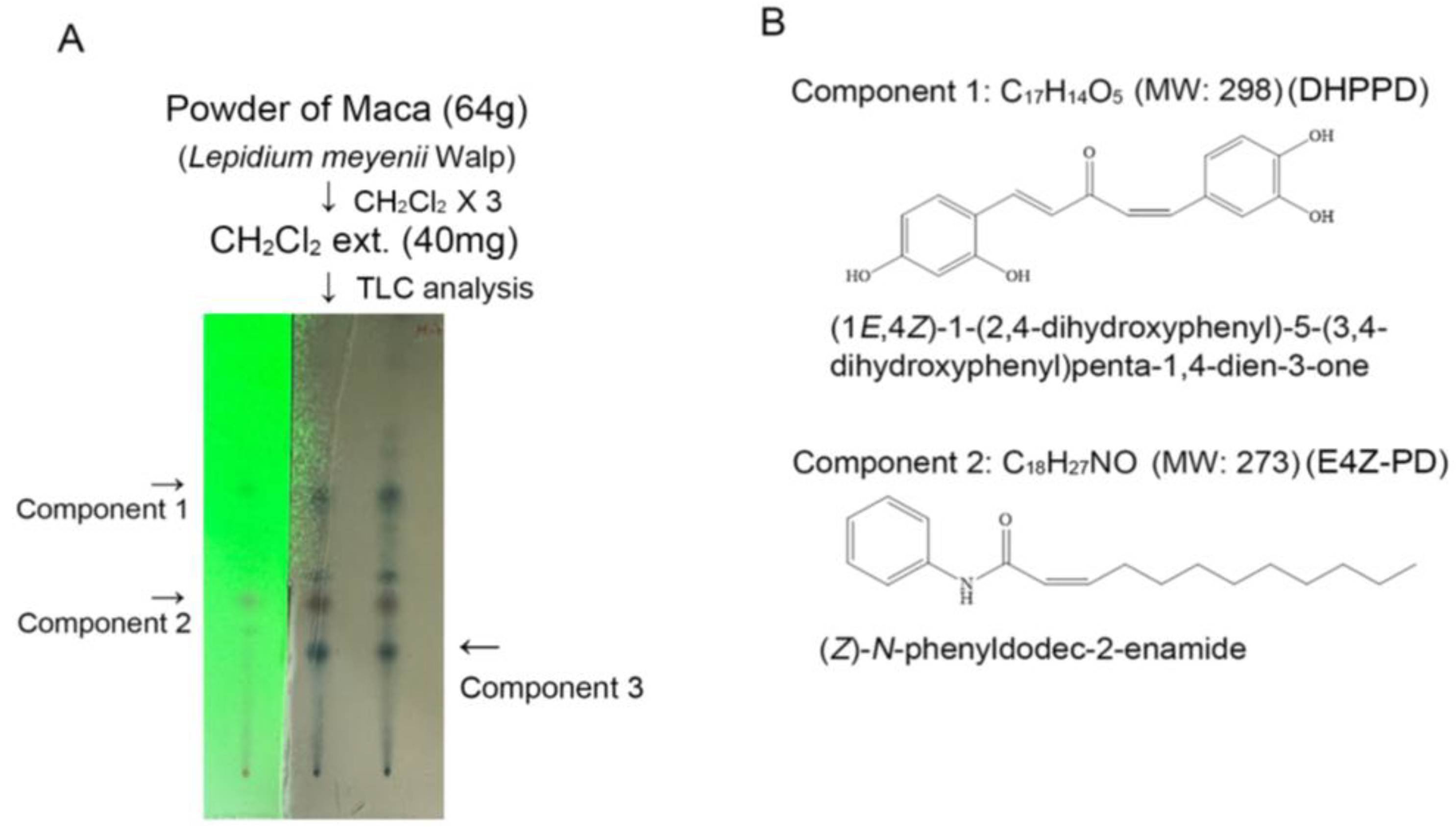 Nutrients 17 03033 g001