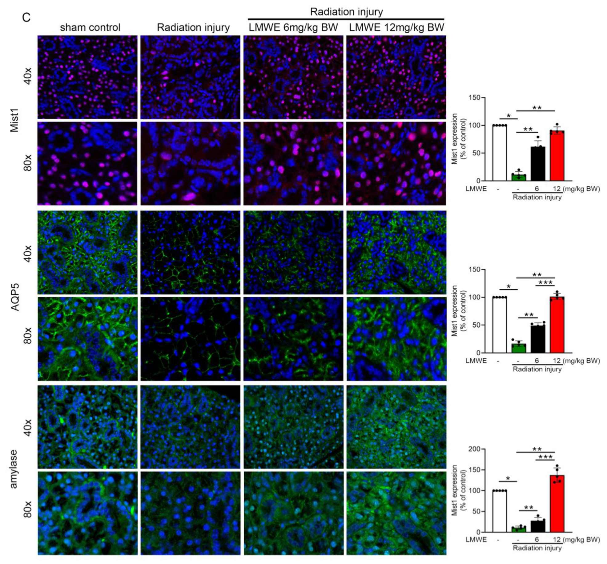 Nutrients 17 03033 g003b