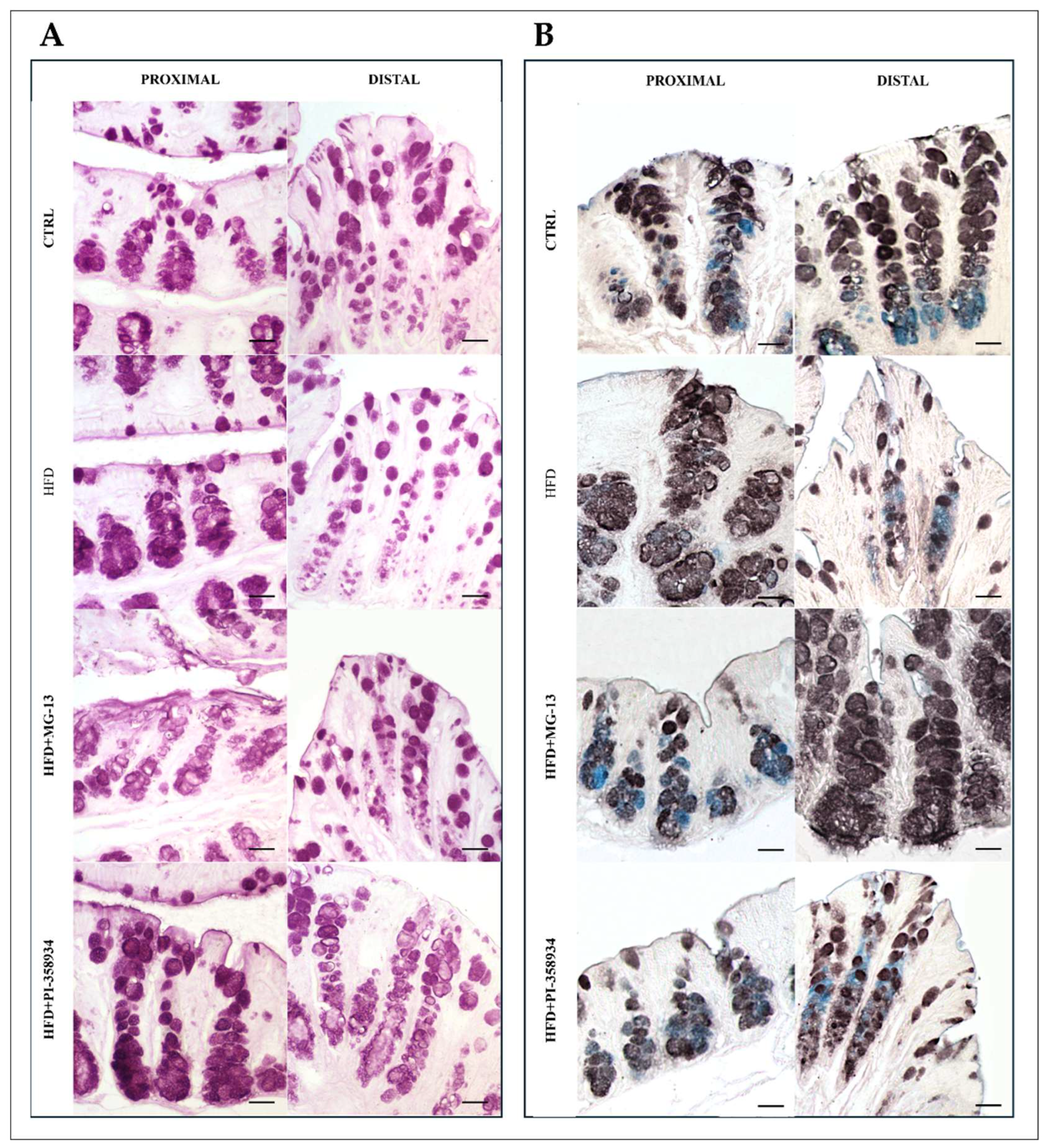 Nutrients 17 03035 g001 Nutrients 17 03035 g001