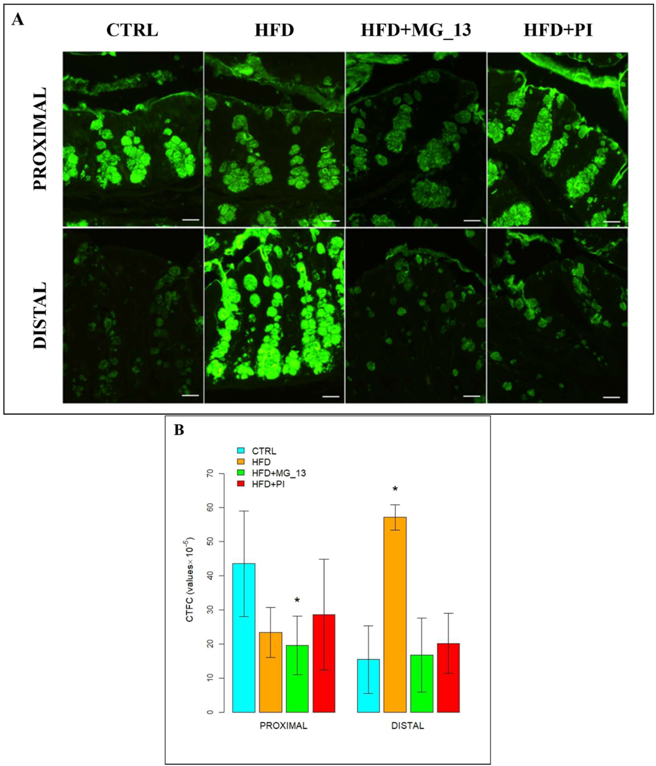 Nutrients 17 03035 g003 Nutrients 17 03035 g003