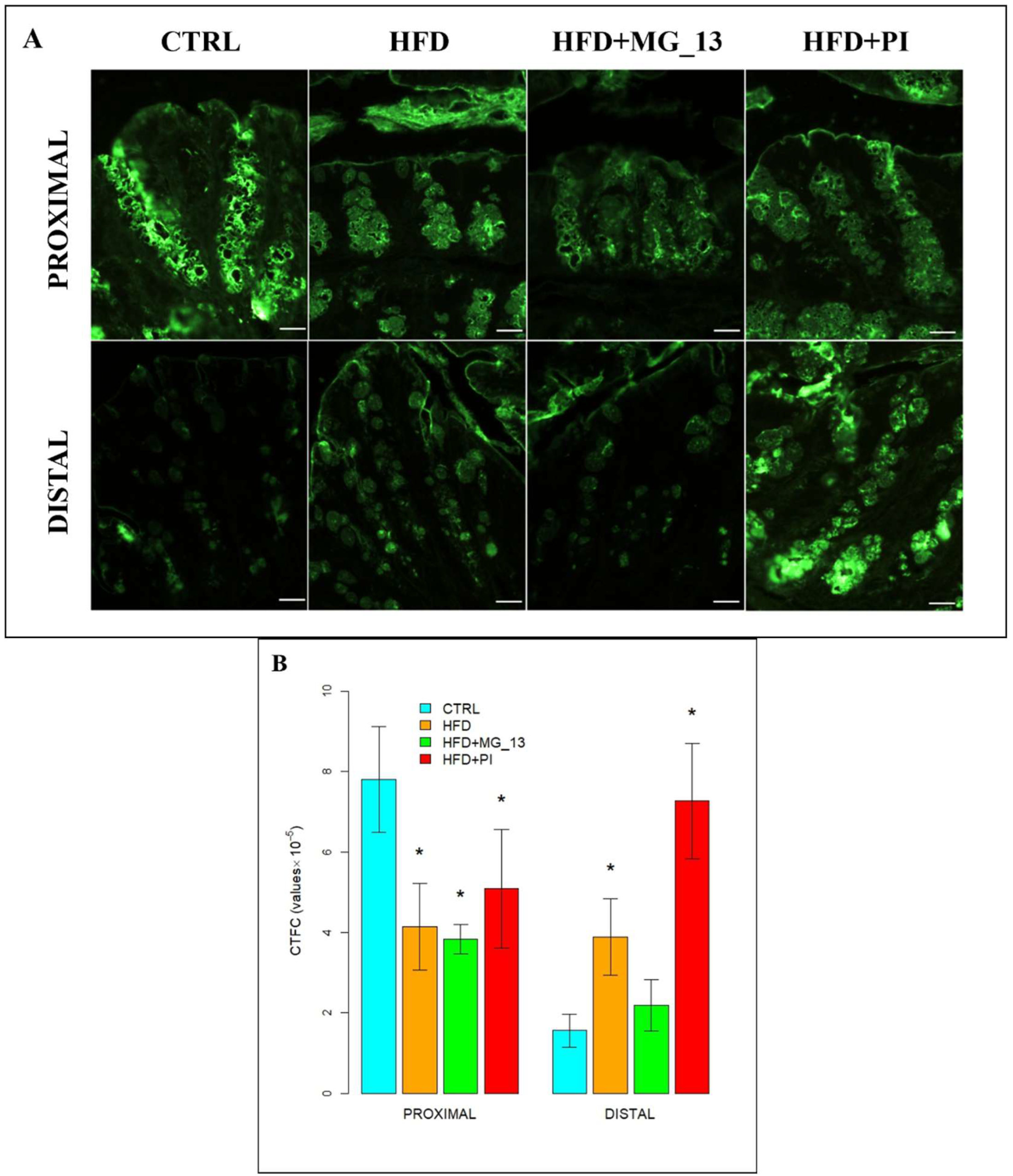 Nutrients 17 03035 g004 Nutrients 17 03035 g004