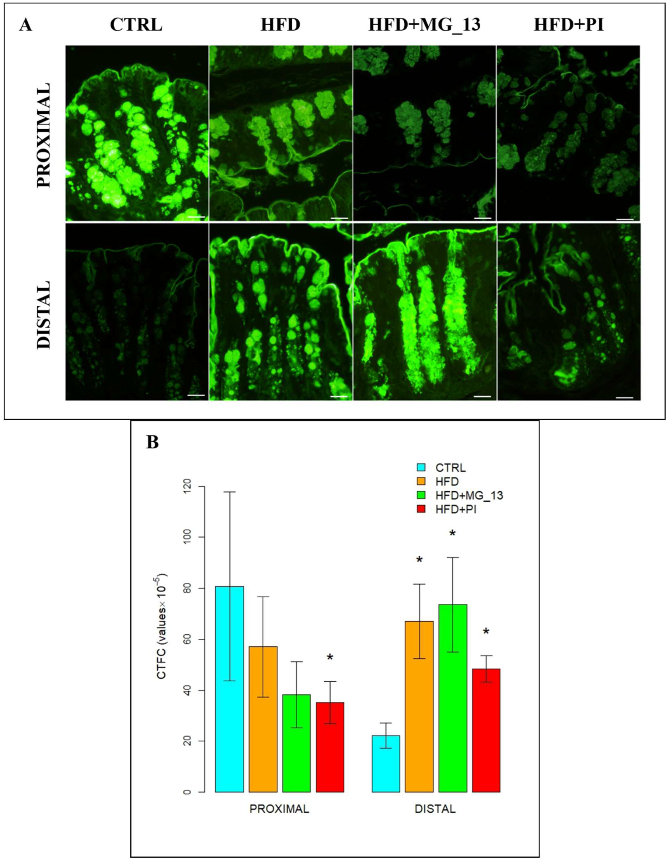Nutrients 17 03035 g005 Nutrients 17 03035 g005