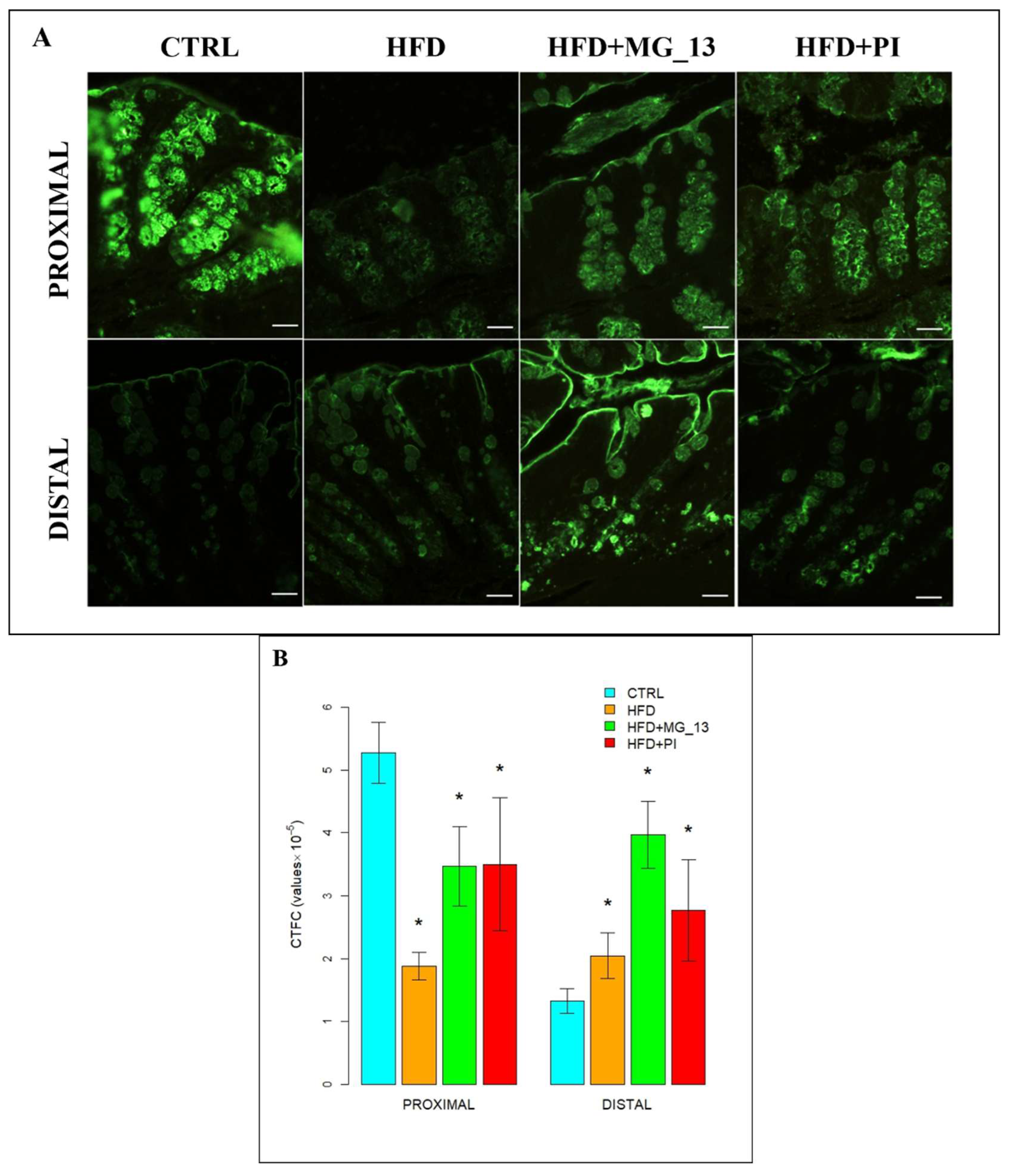 Nutrients 17 03035 g006a Nutrients 17 03035 g006a