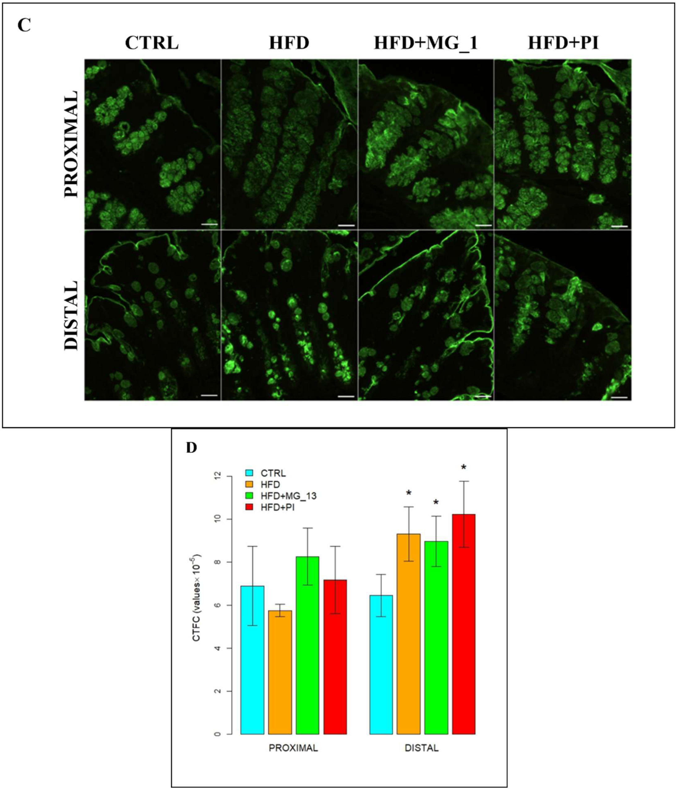 Nutrients 17 03035 g006b Nutrients 17 03035 g006b