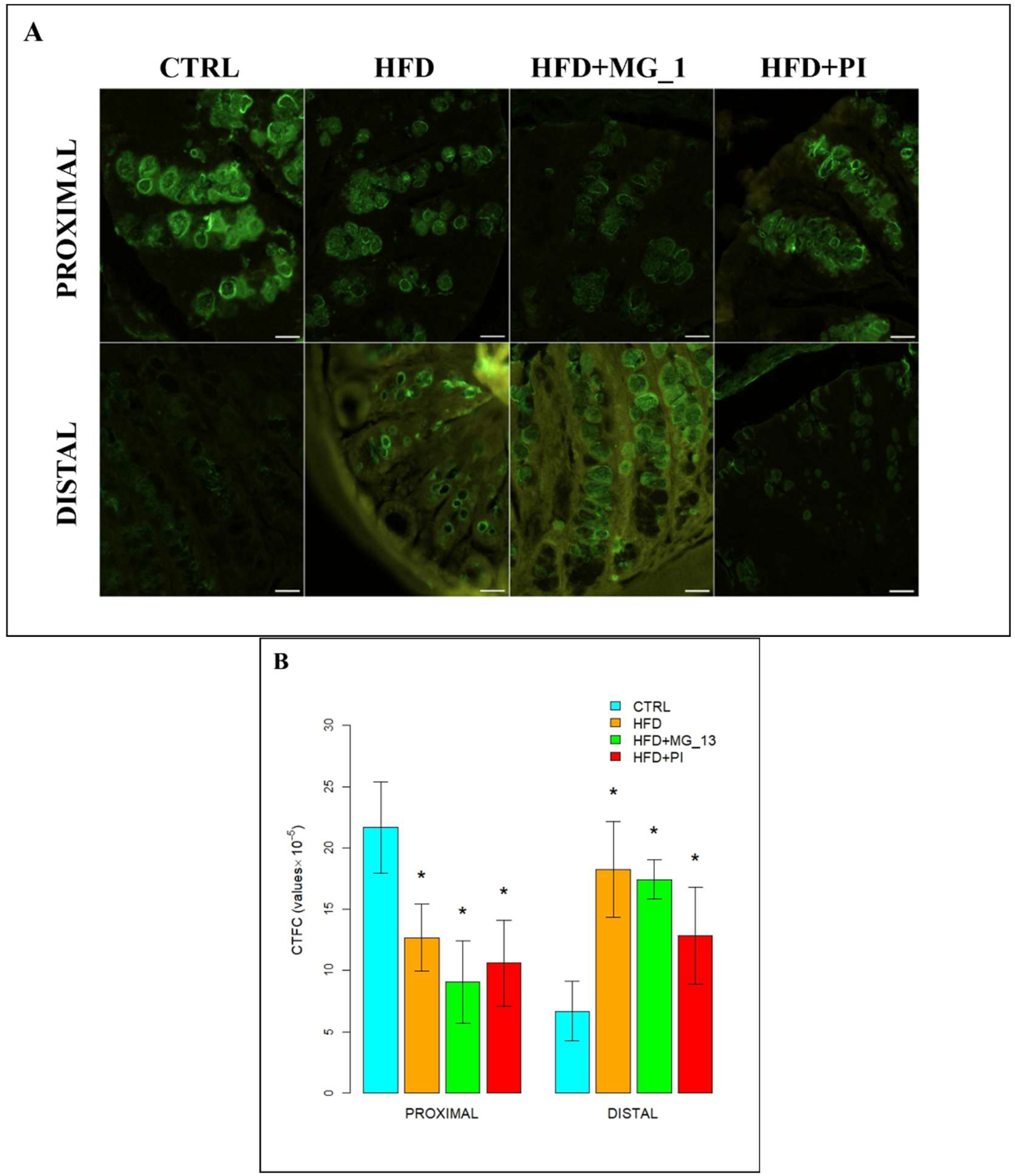Nutrients 17 03035 g007 Nutrients 17 03035 g007