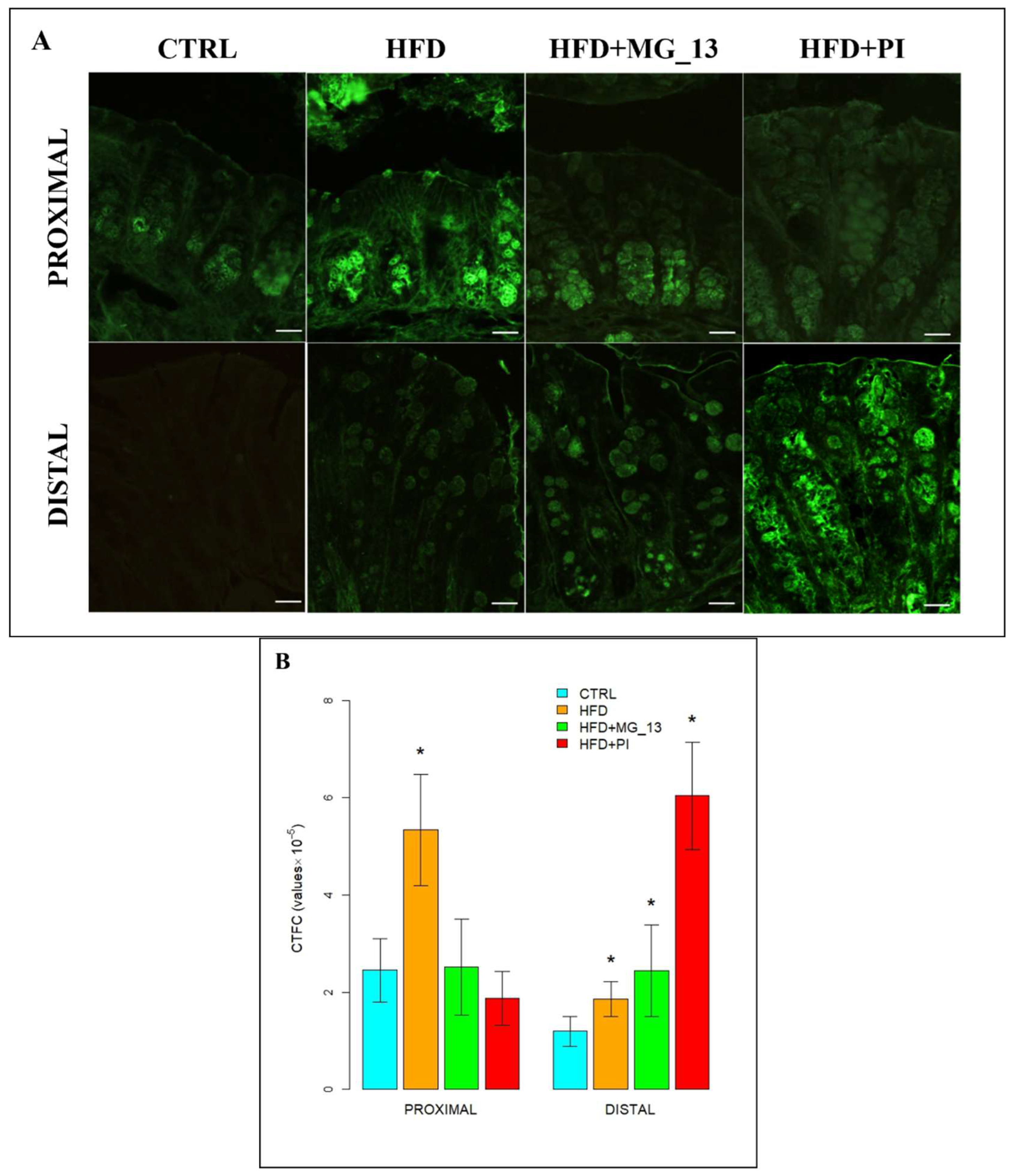 Nutrients 17 03035 g008 Nutrients 17 03035 g008