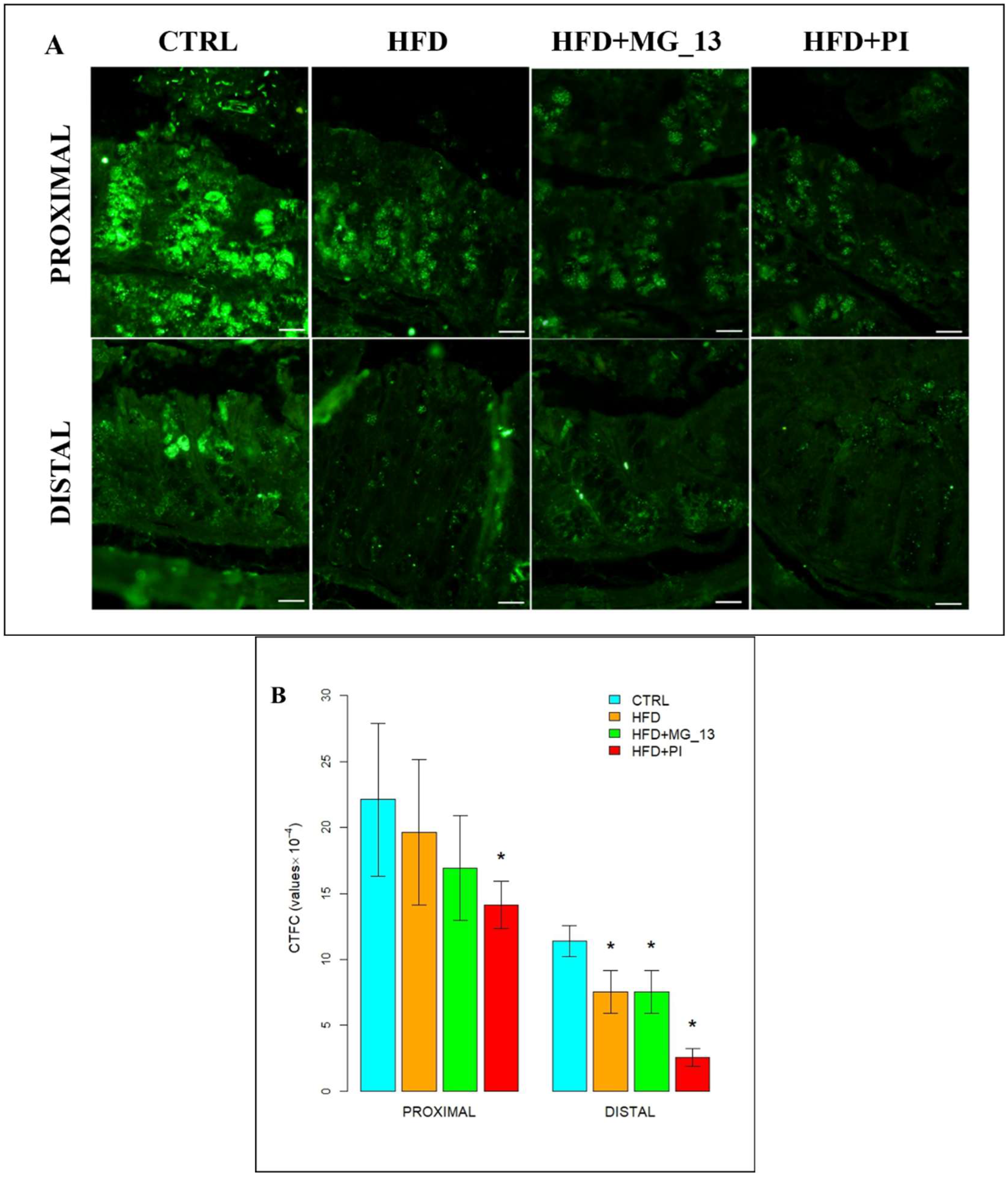 Nutrients 17 03035 g009 Nutrients 17 03035 g009