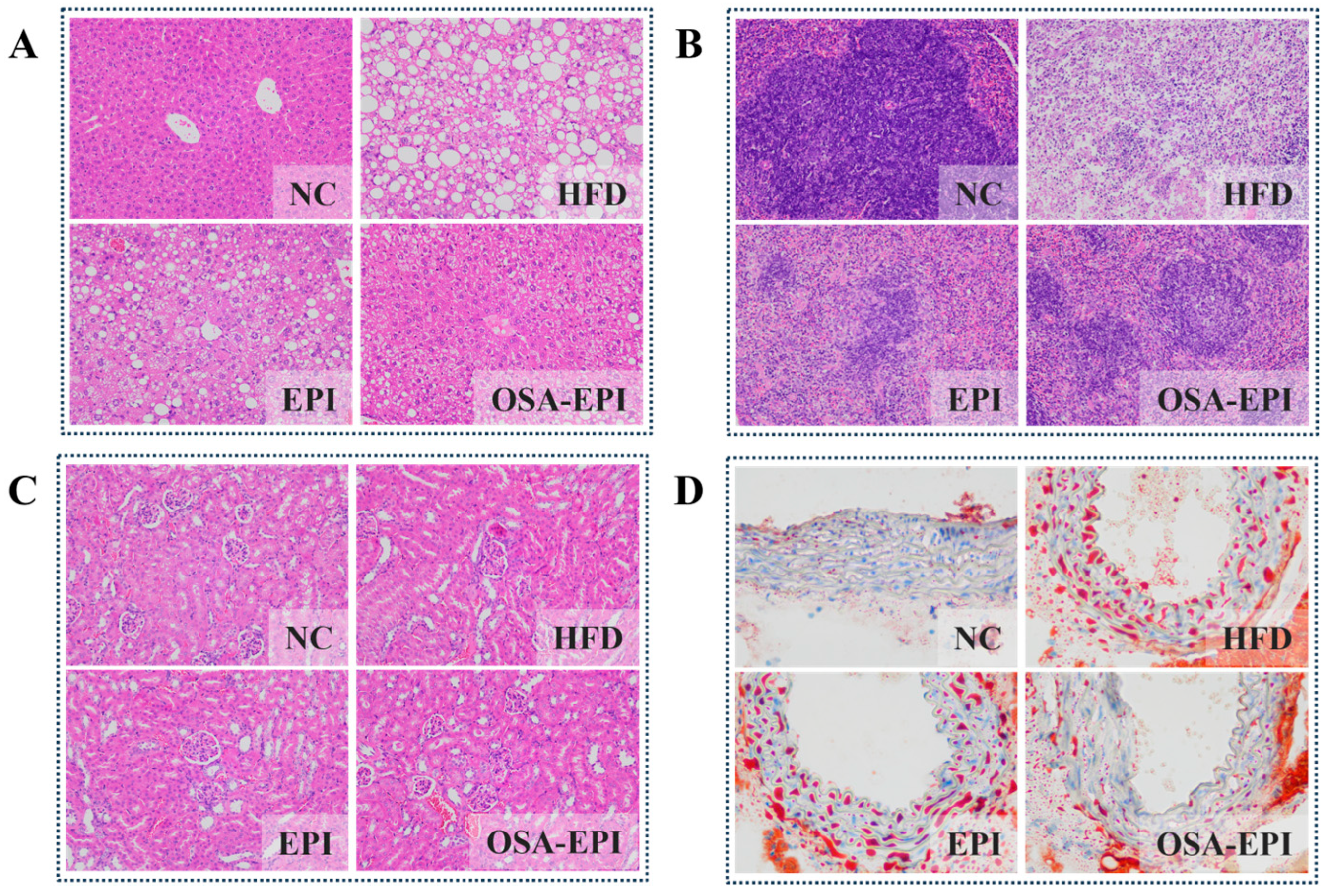 Nutrients 17 03036 g003 Nutrients 17 03036 g003