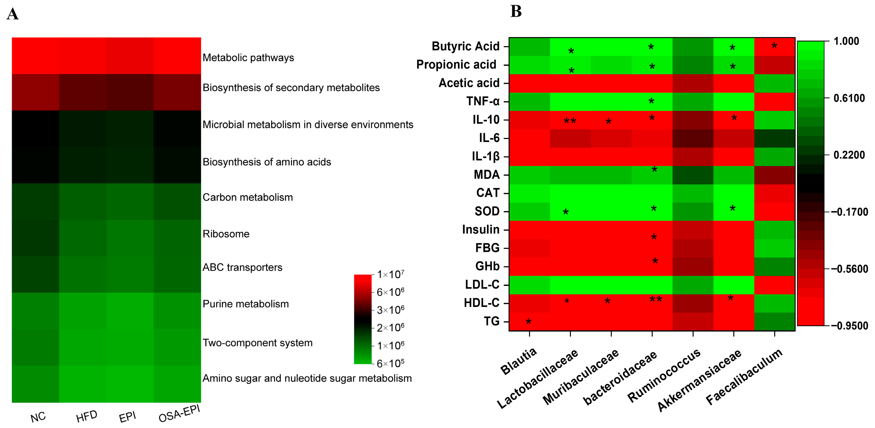 Nutrients 17 03036 g007 Nutrients 17 03036 g007