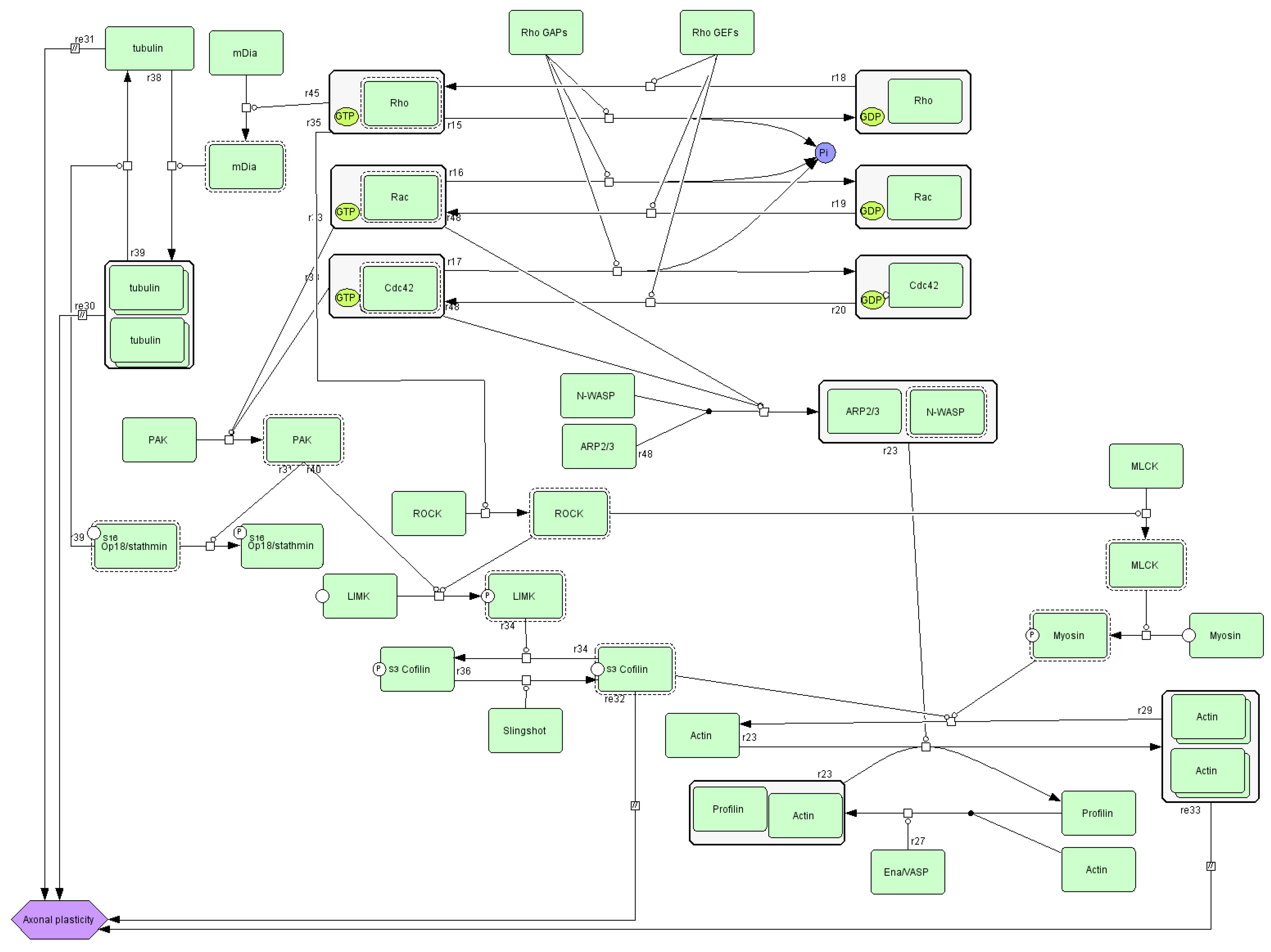 Nutrients 17 03052 g004 Nutrients 17 03052 g004
