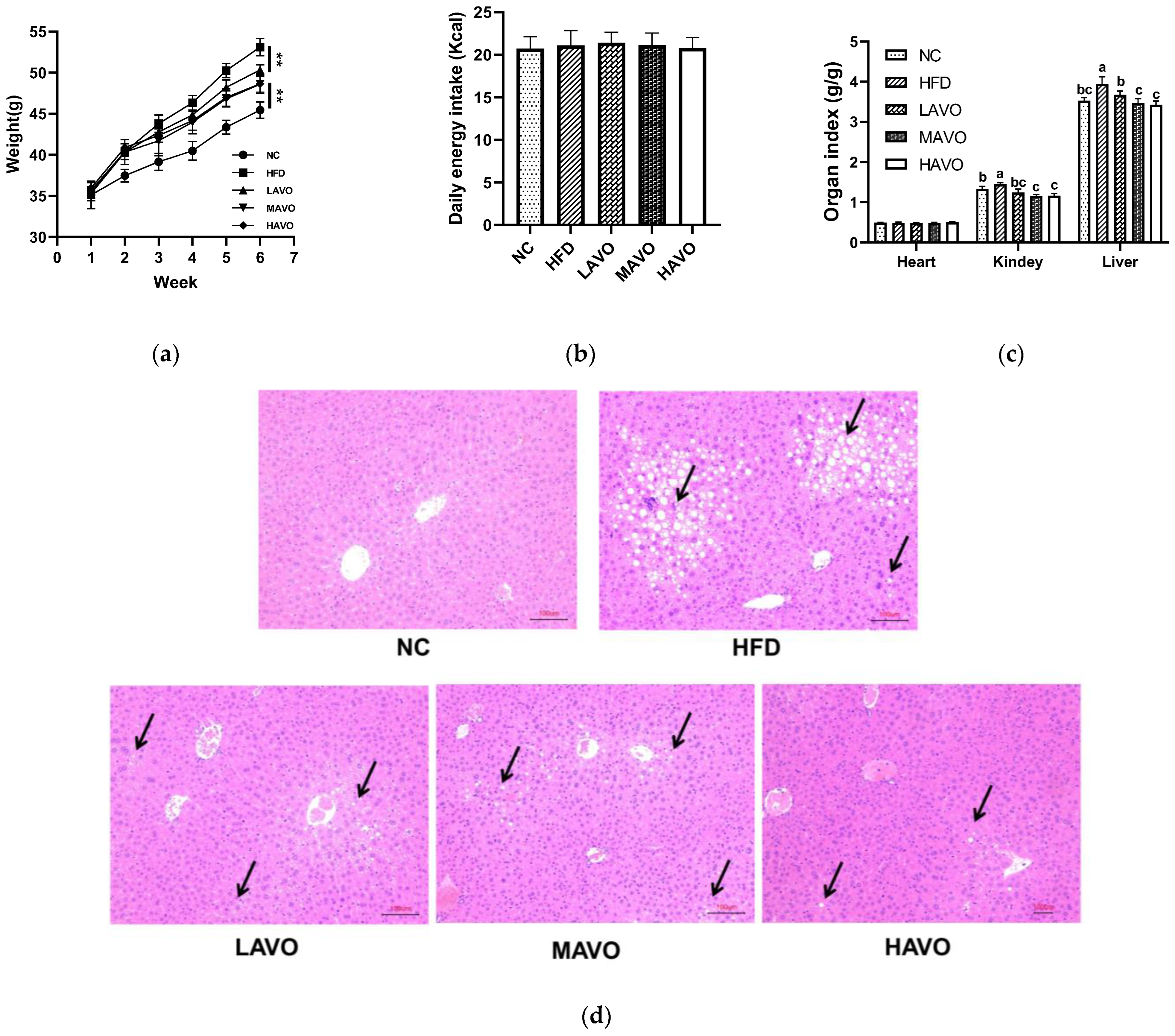 Nutrients 17 03062 g004