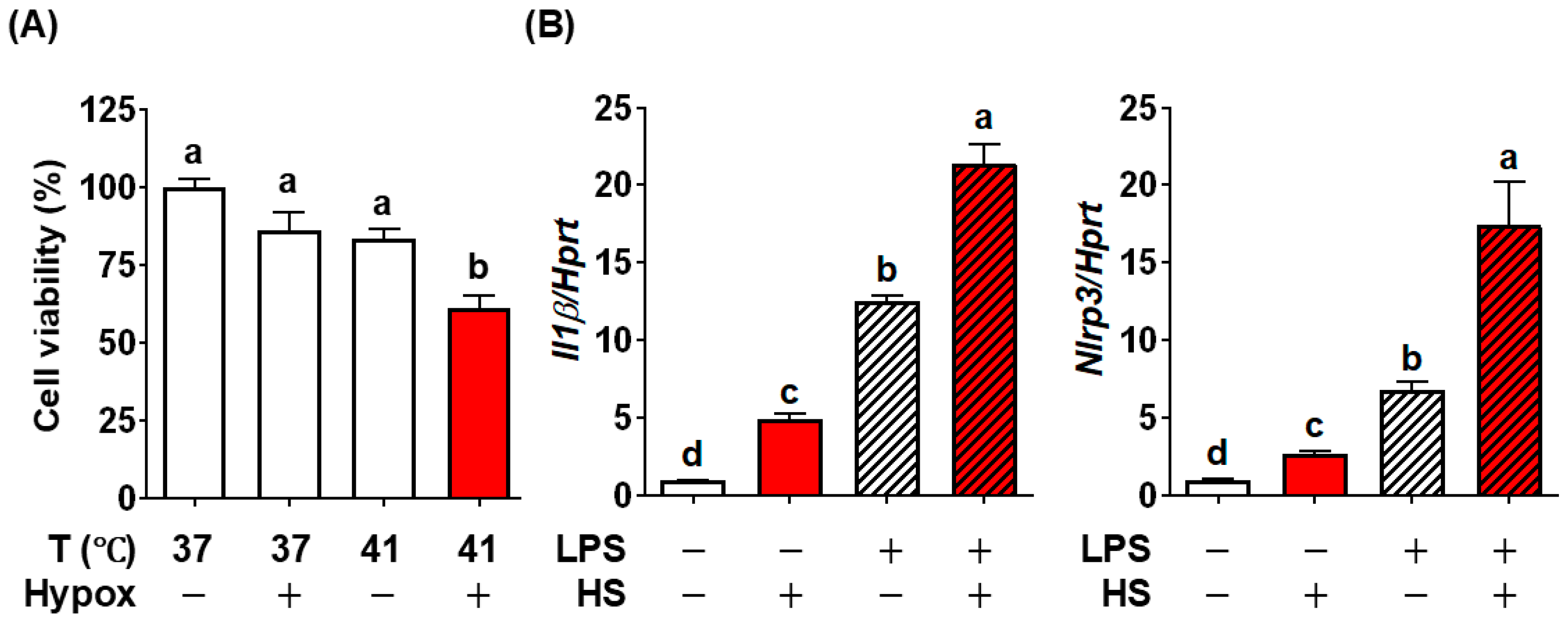 Nutrients 17 03063 g002