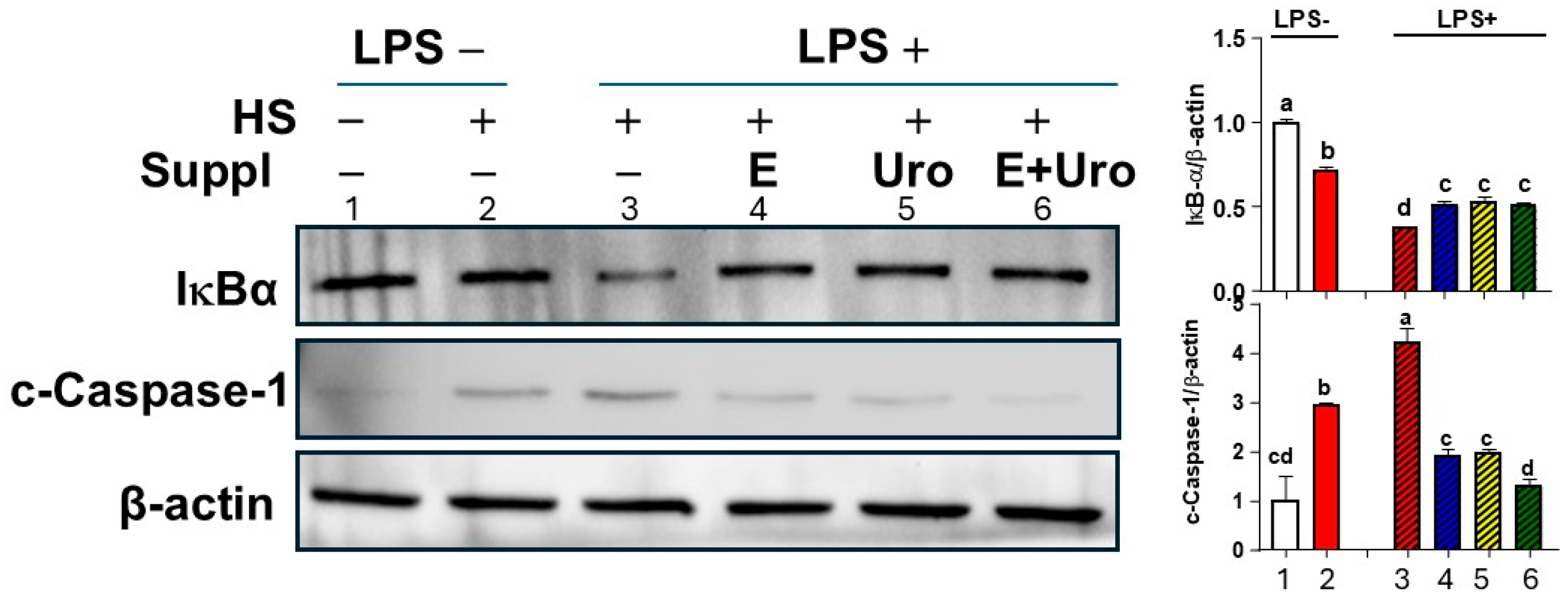 Nutrients 17 03063 g005