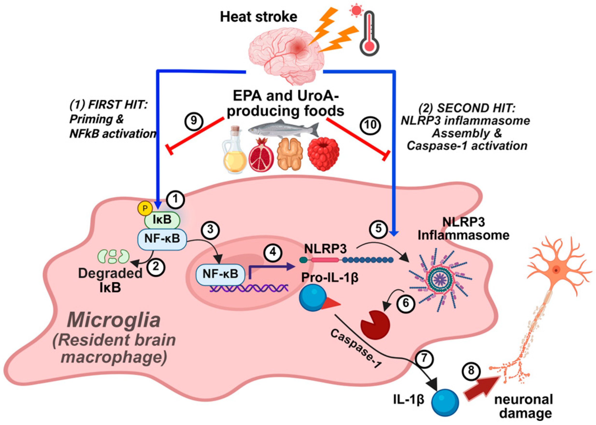Nutrients 17 03063 g006