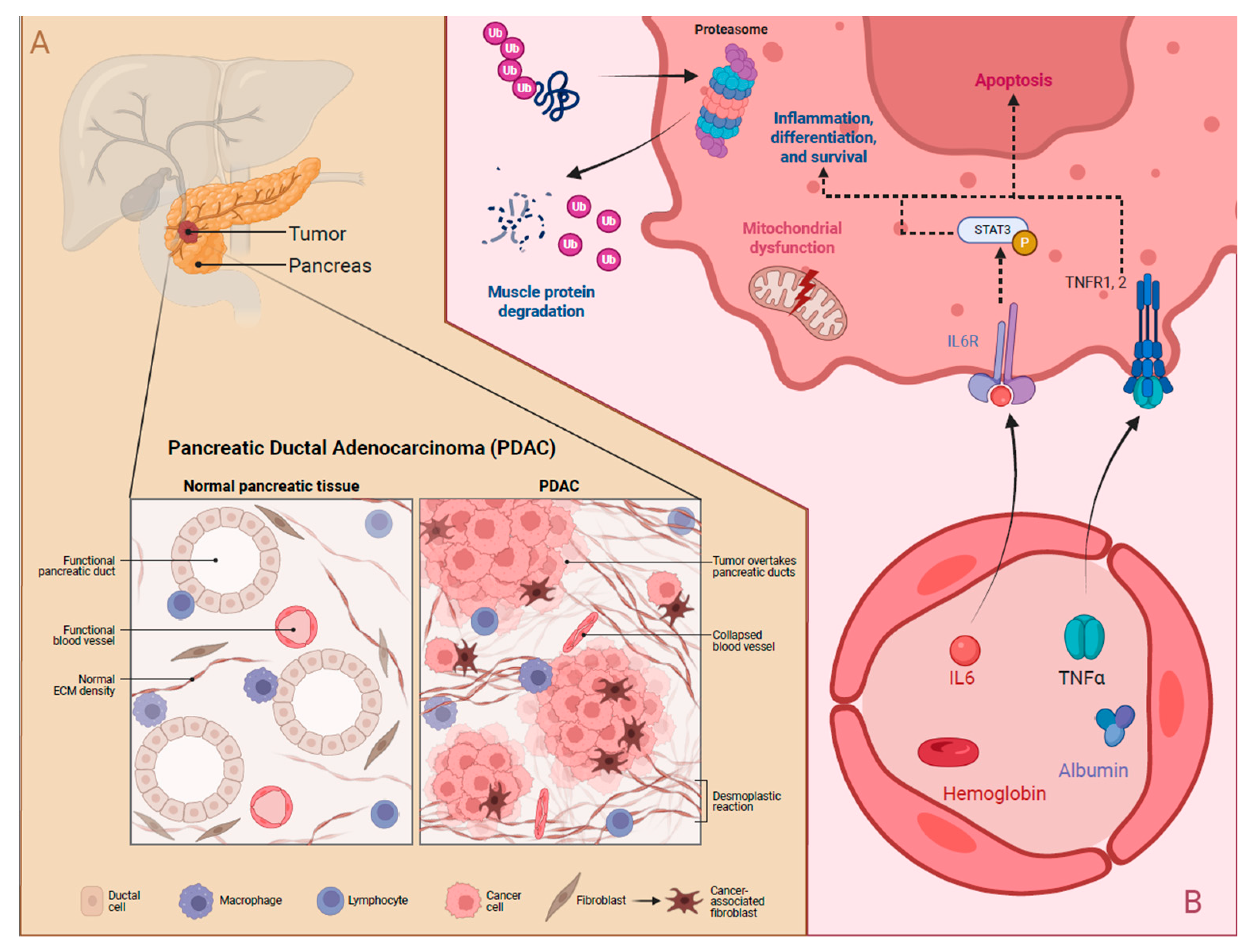 Nutrients 17 03064 g002 Nutrients 17 03064 g002