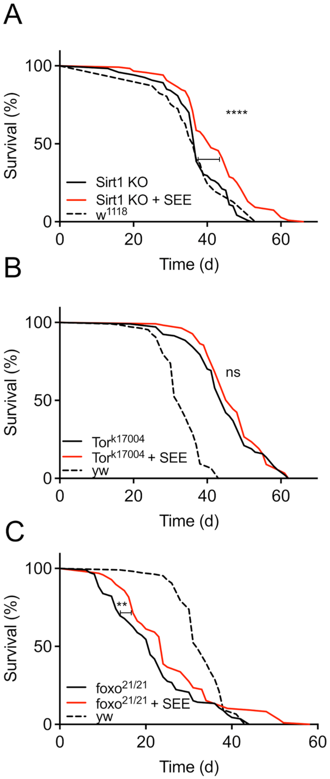 Nutrients 17 03065 g005 Nutrients 17 03065 g005