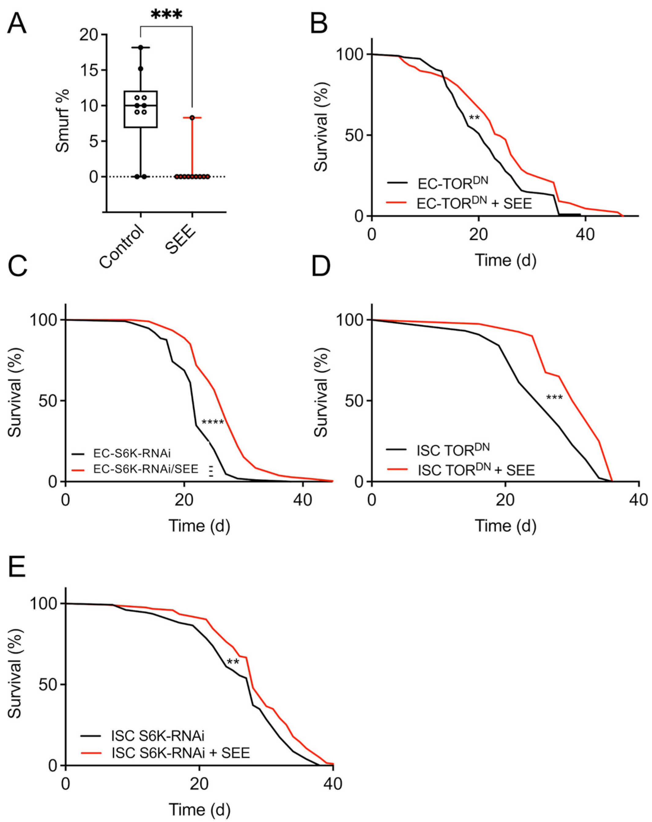 Nutrients 17 03065 g006 Nutrients 17 03065 g006
