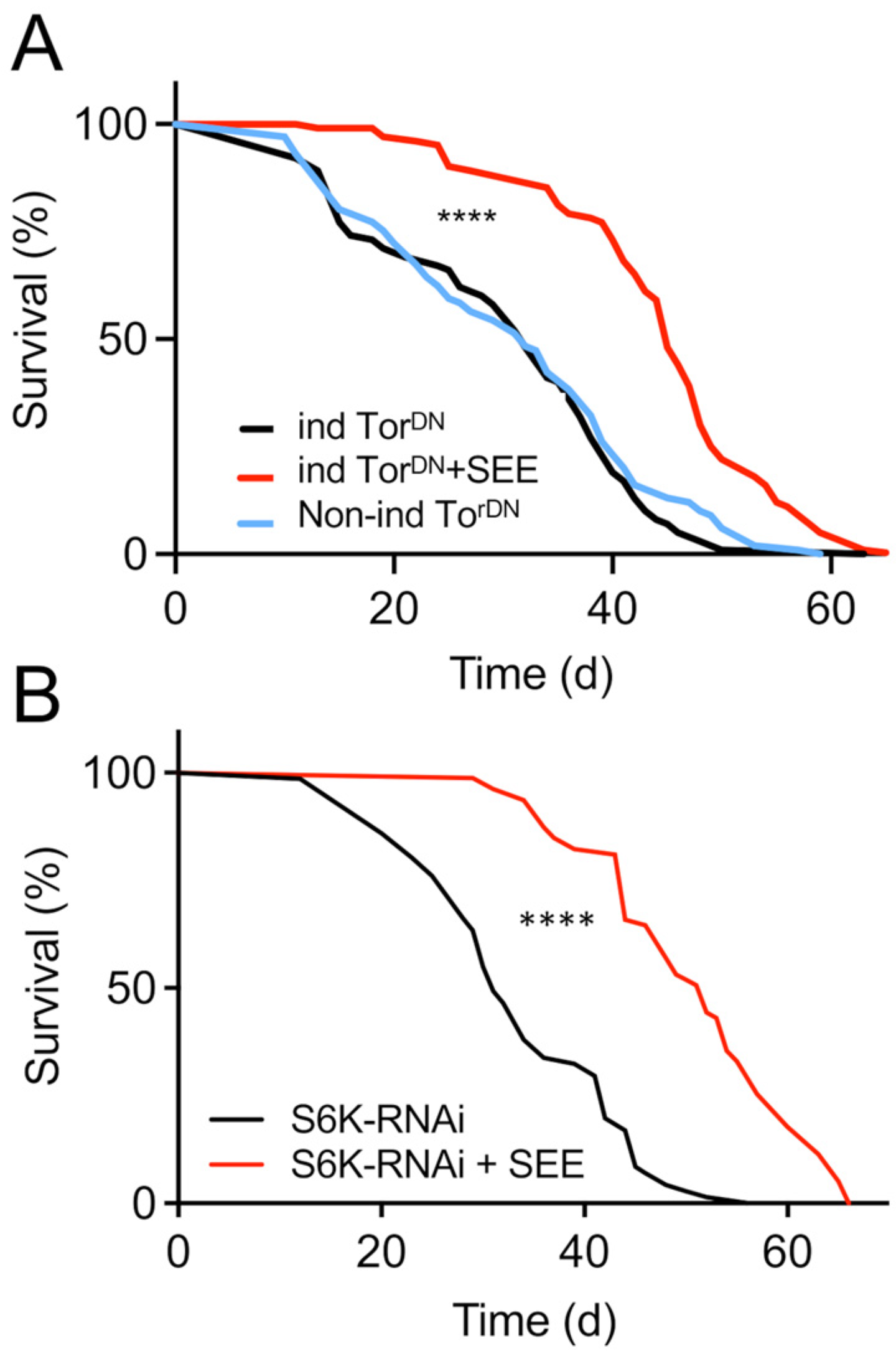 Nutrients 17 03065 g007 Nutrients 17 03065 g007
