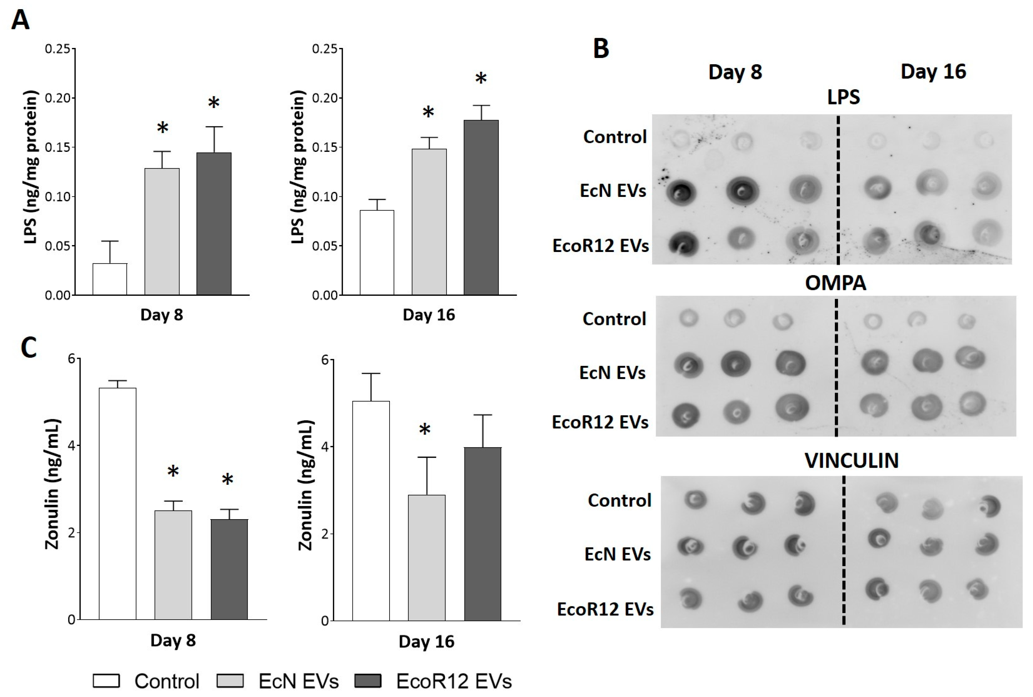Nutrients 17 03066 g001 Nutrients 17 03066 g001