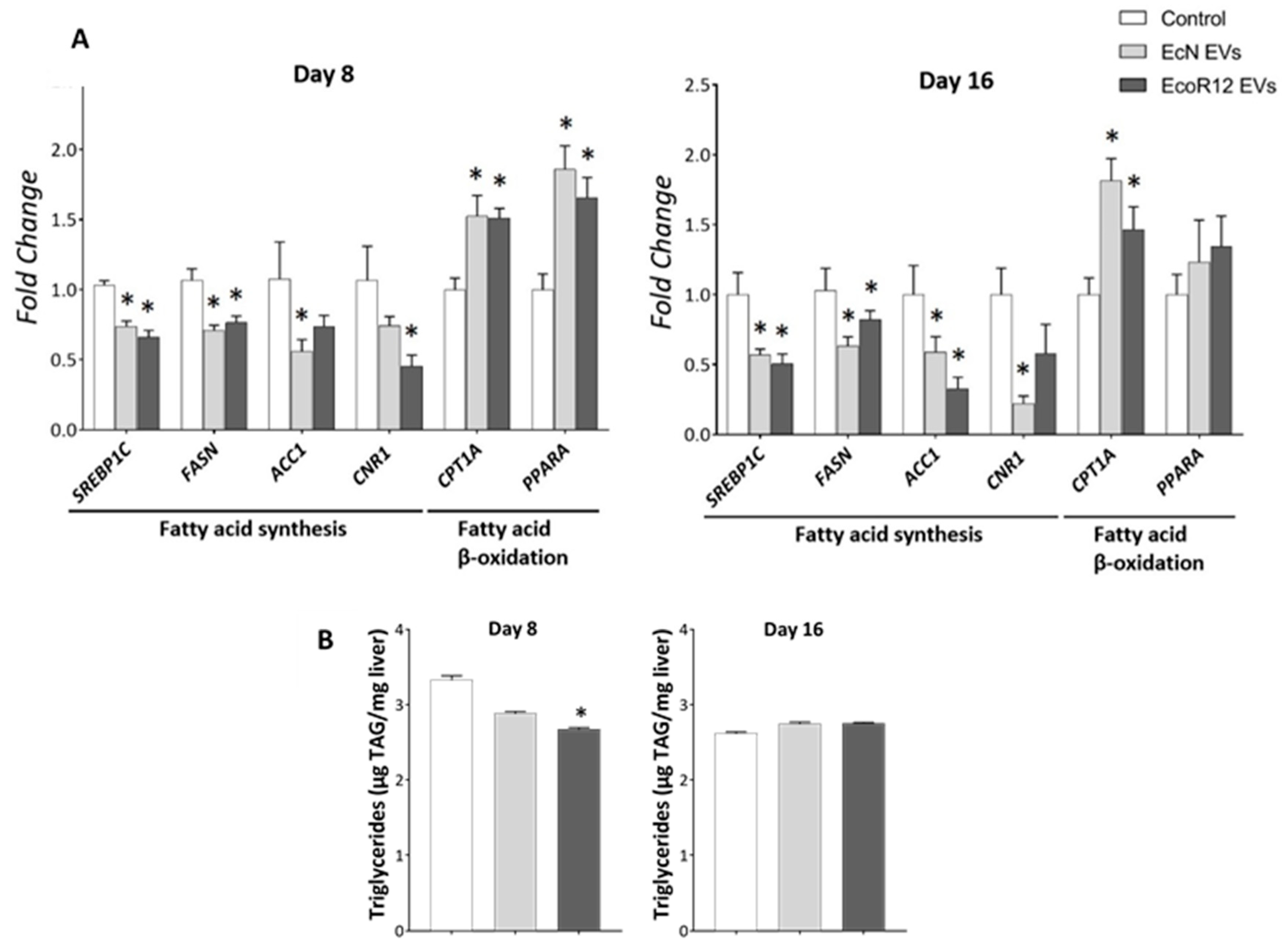 Nutrients 17 03066 g003 Nutrients 17 03066 g003