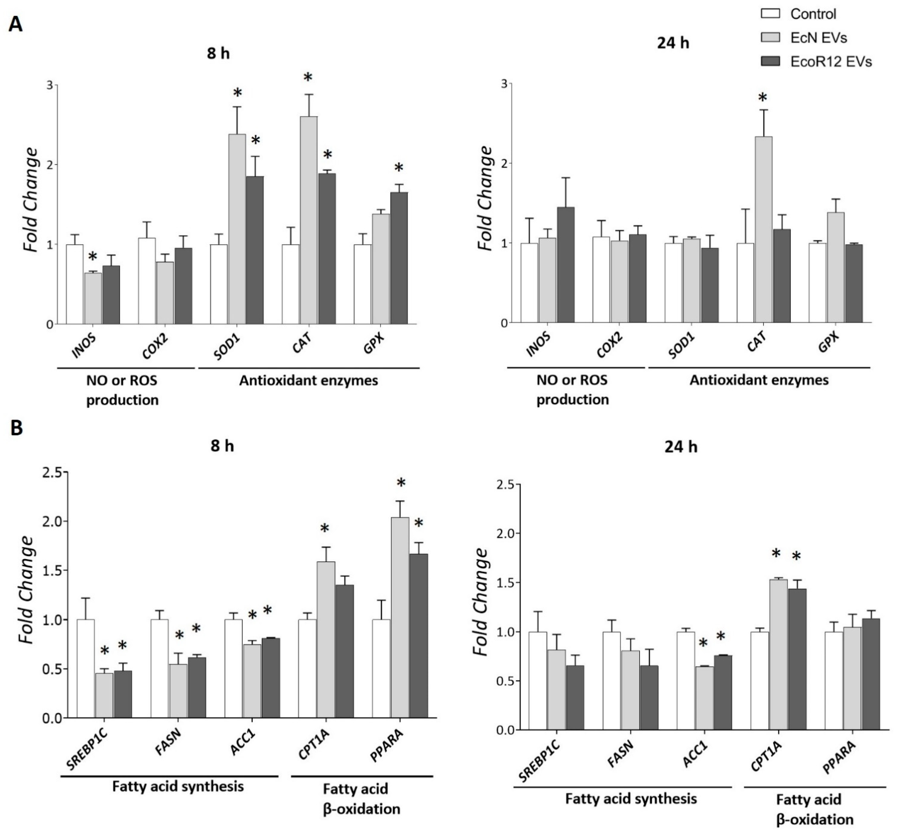 Nutrients 17 03066 g006 Nutrients 17 03066 g006
