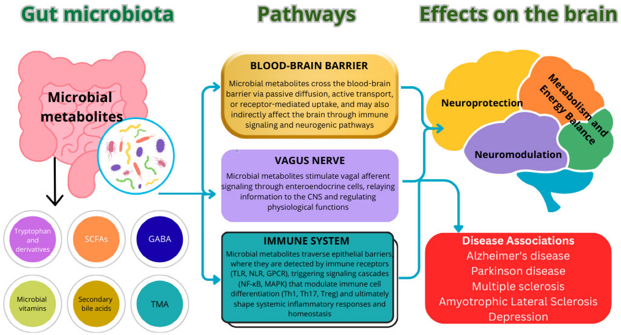Precision Nutrition and Gut–Brain Axis Modulation in the