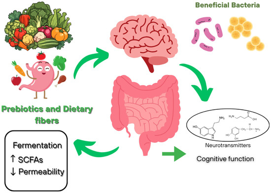 Precision Nutrition and Gut–Brain Axis Modulation in the